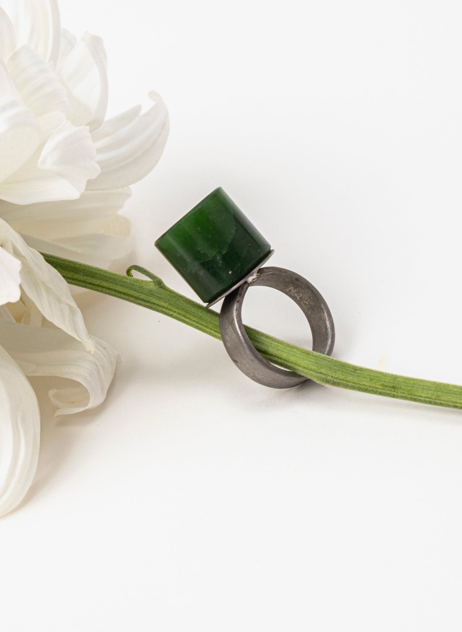 Circle Pounamu Titanium Ring
