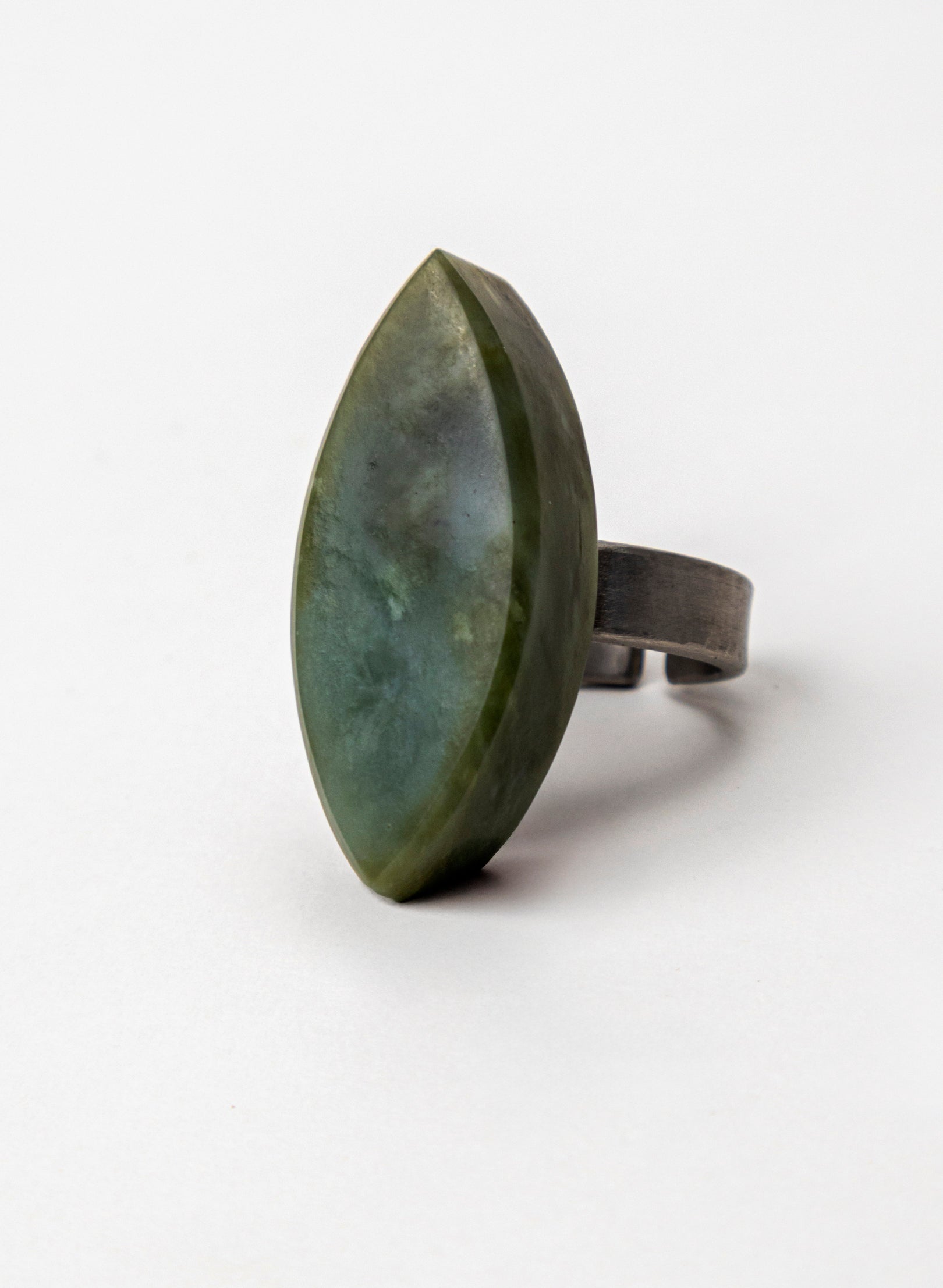 Pounamu Inanga Titanium Ring