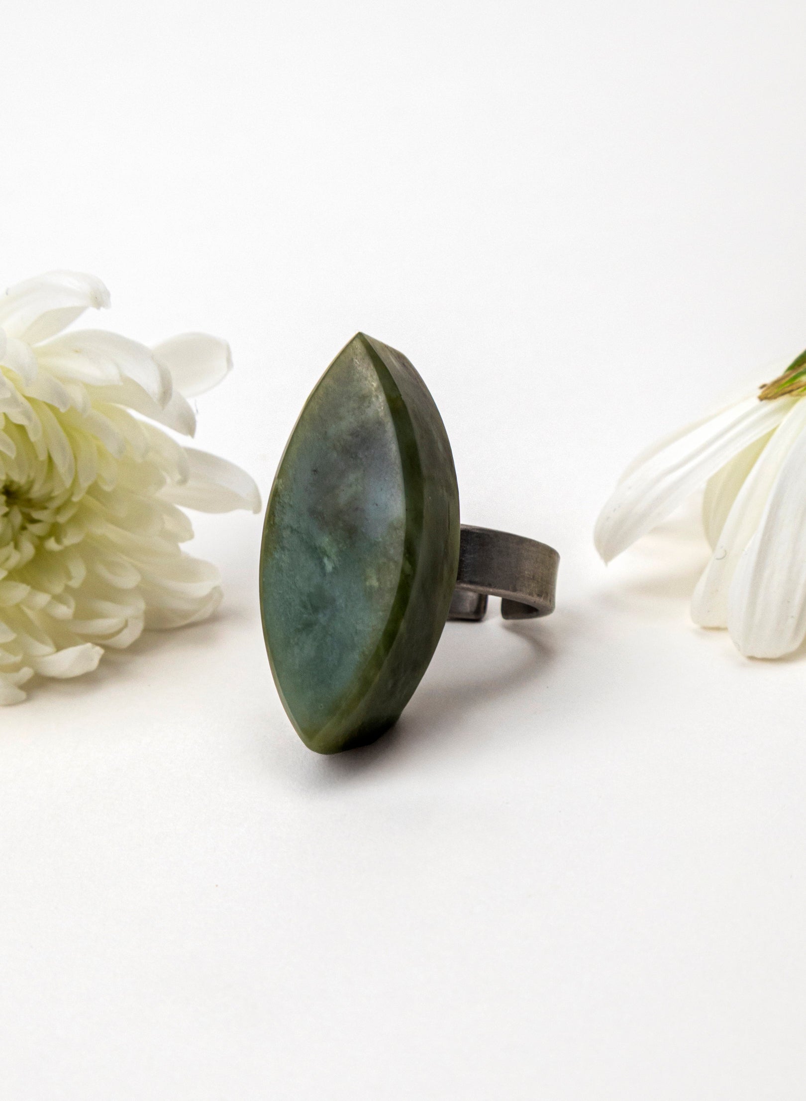 Pounamu Inanga Titanium Ring