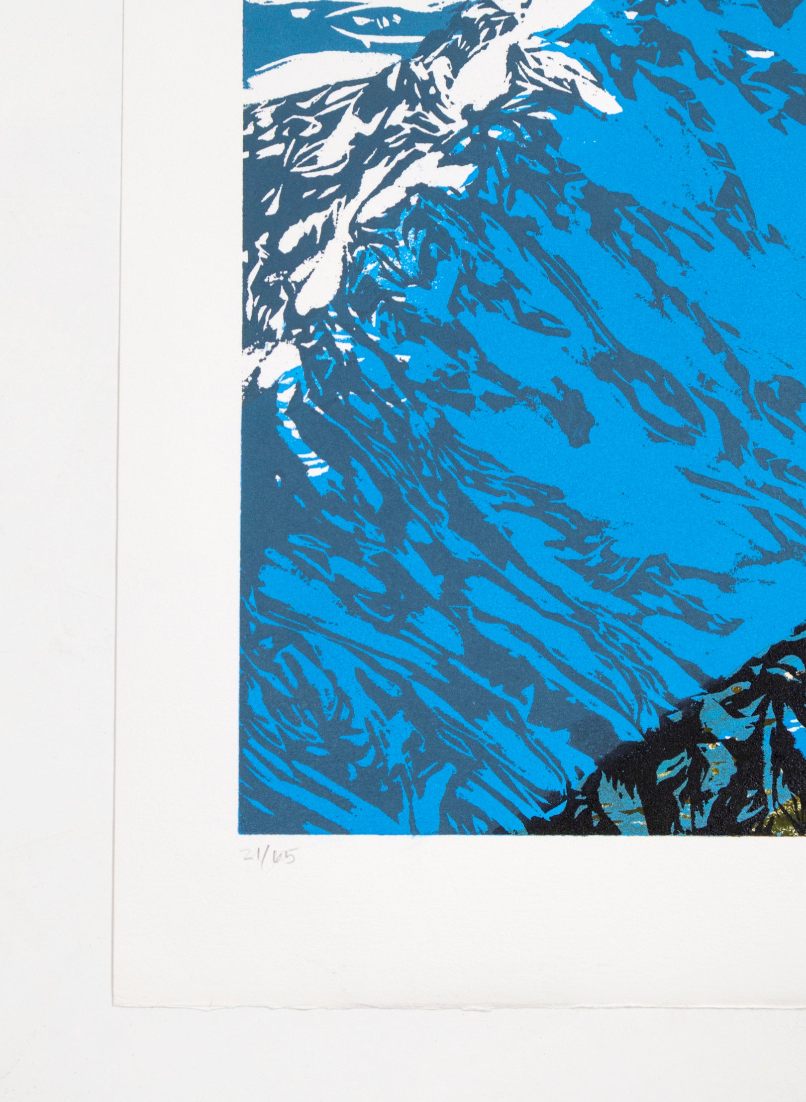 Mount Tasman & Upper Fox Glacier - Woodblock Print