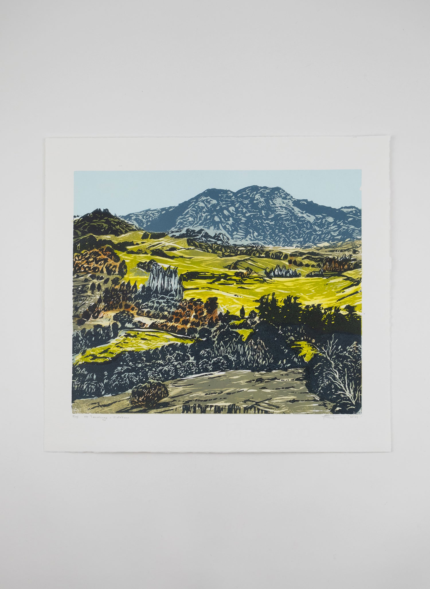 Mt Tamahunga Matakana - Woodblock Print