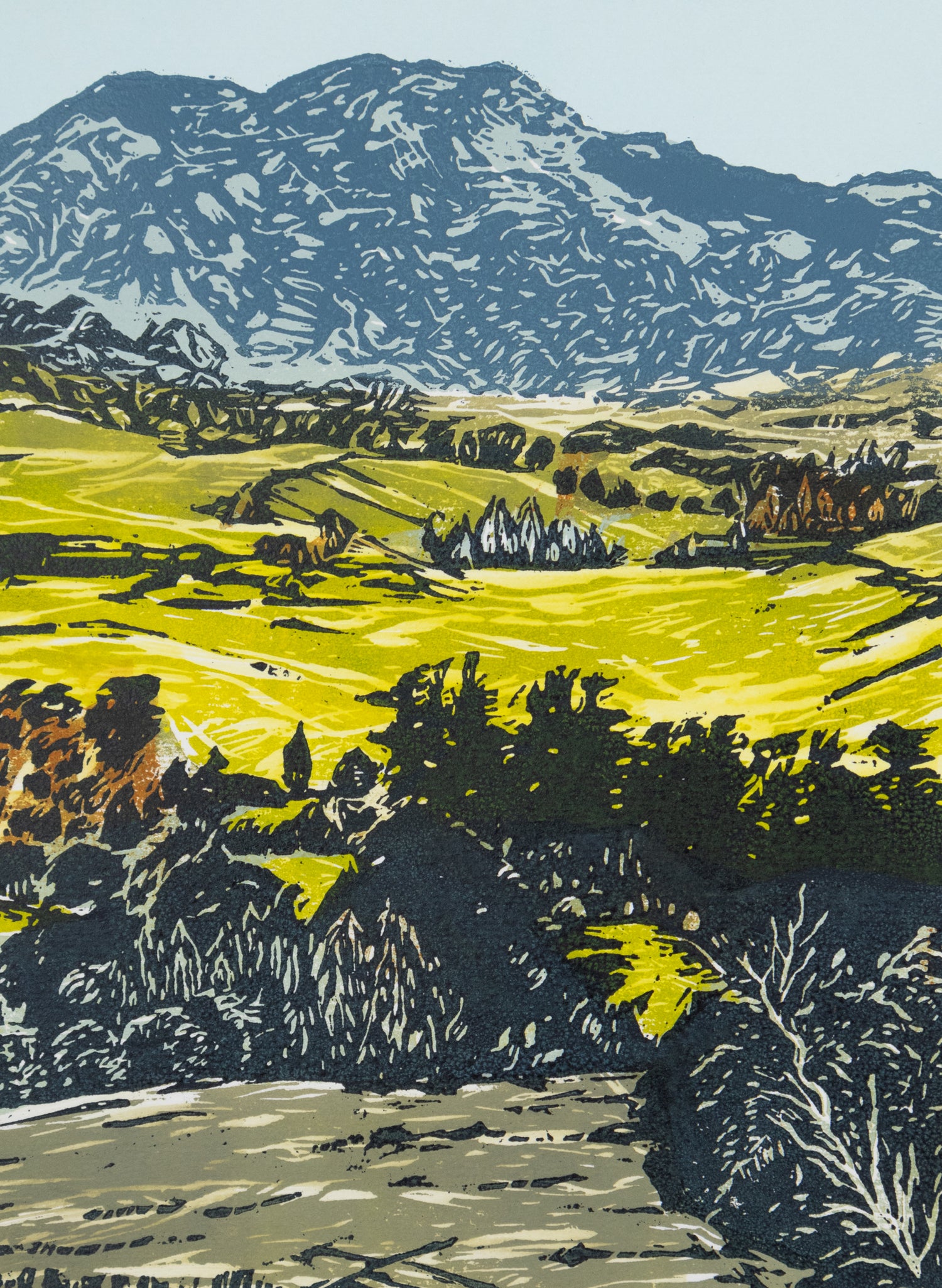 Mt Tamahunga Matakana - Woodblock Print