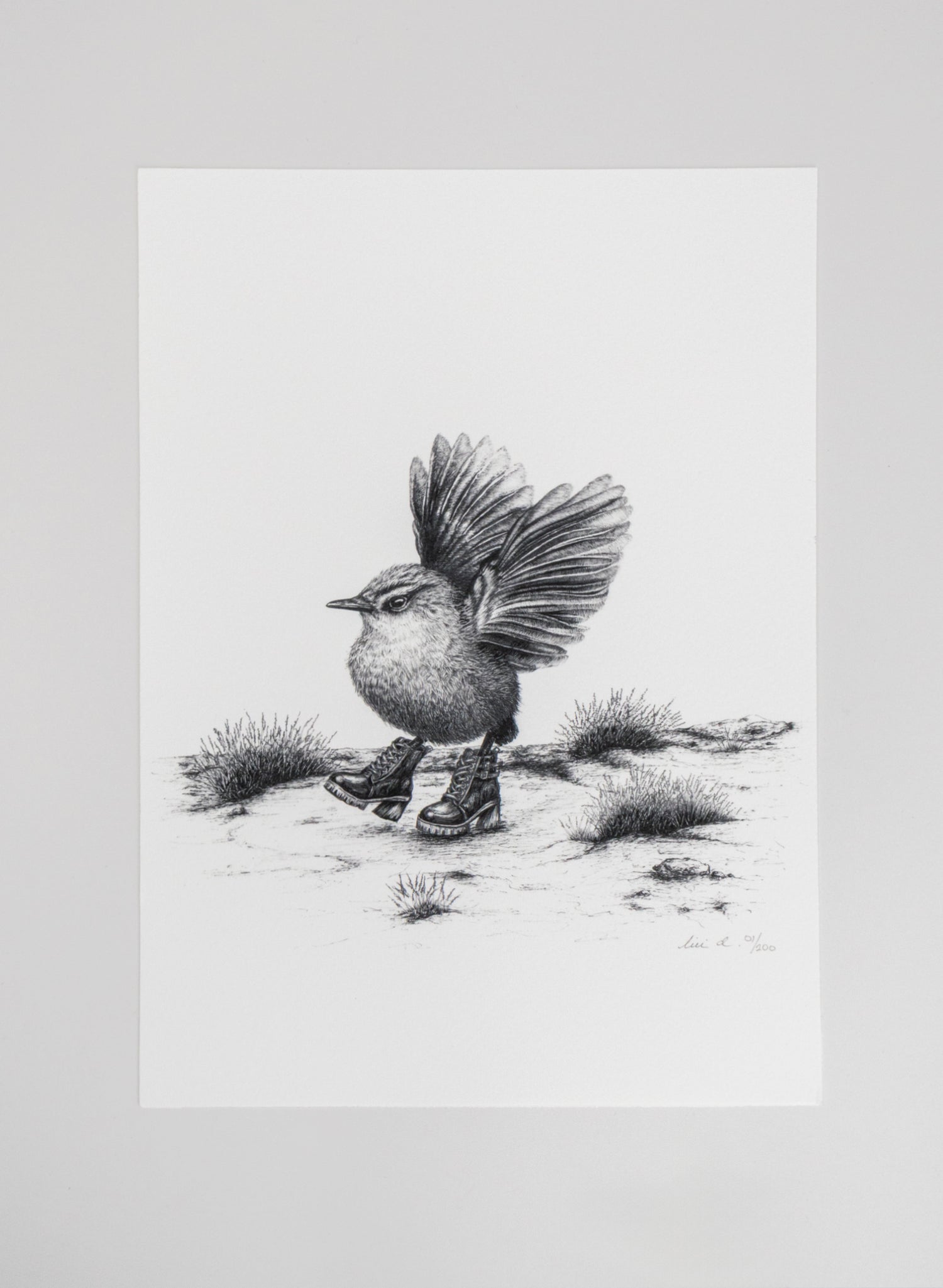Rockwren Strut - Giclée Print