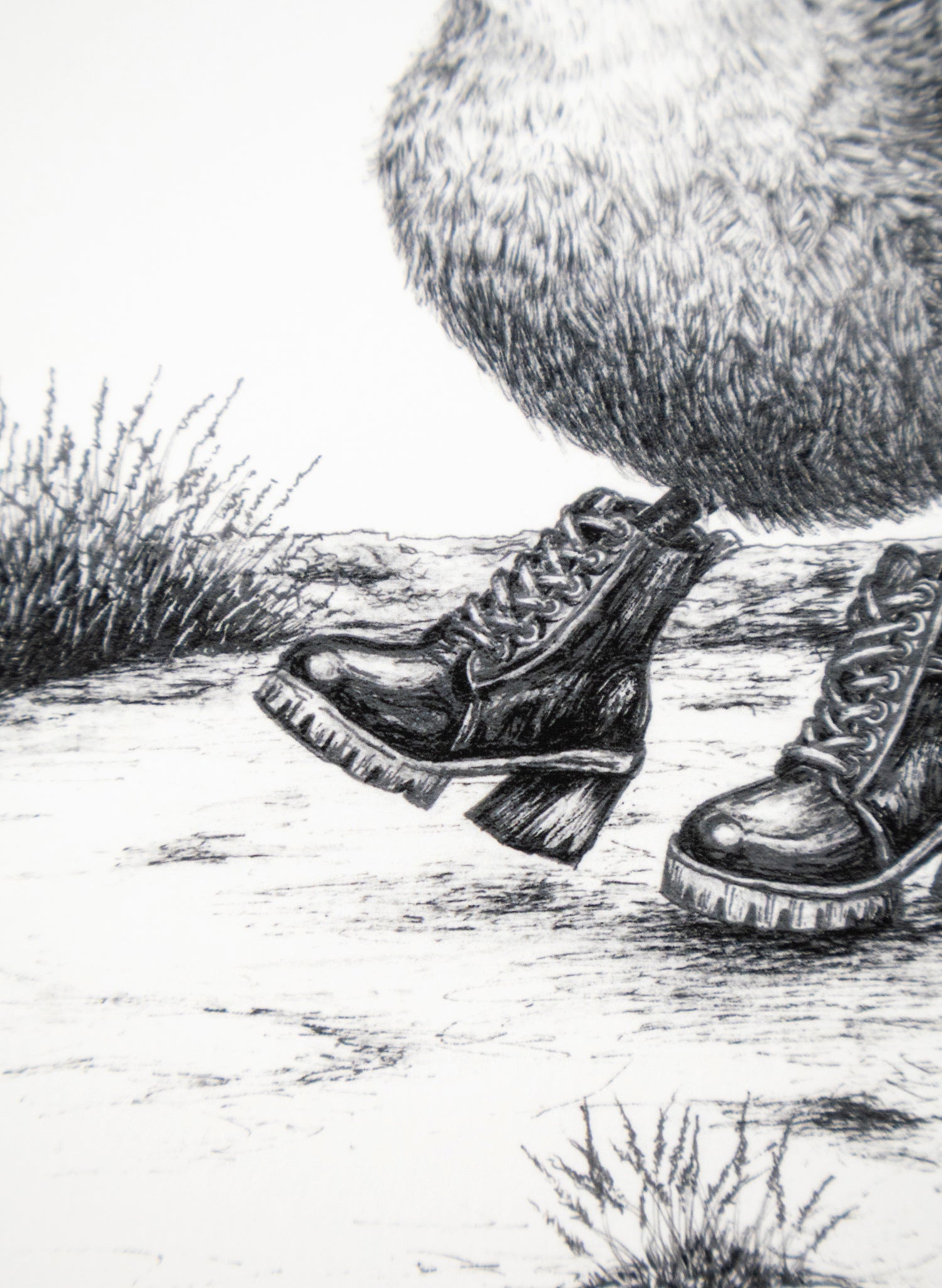 Rockwren Strut - Giclée Print