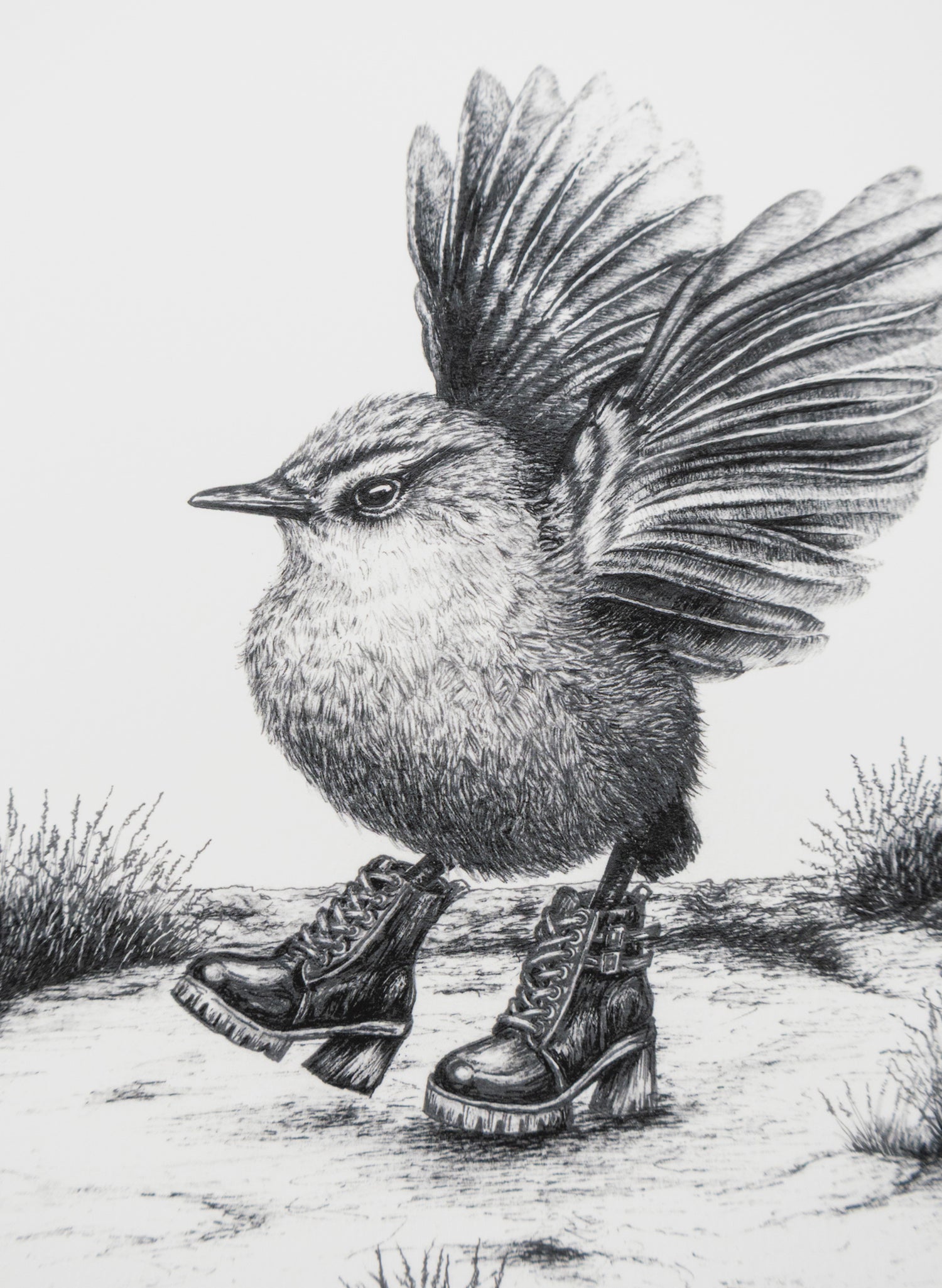 Rockwren Strut - Giclée Print