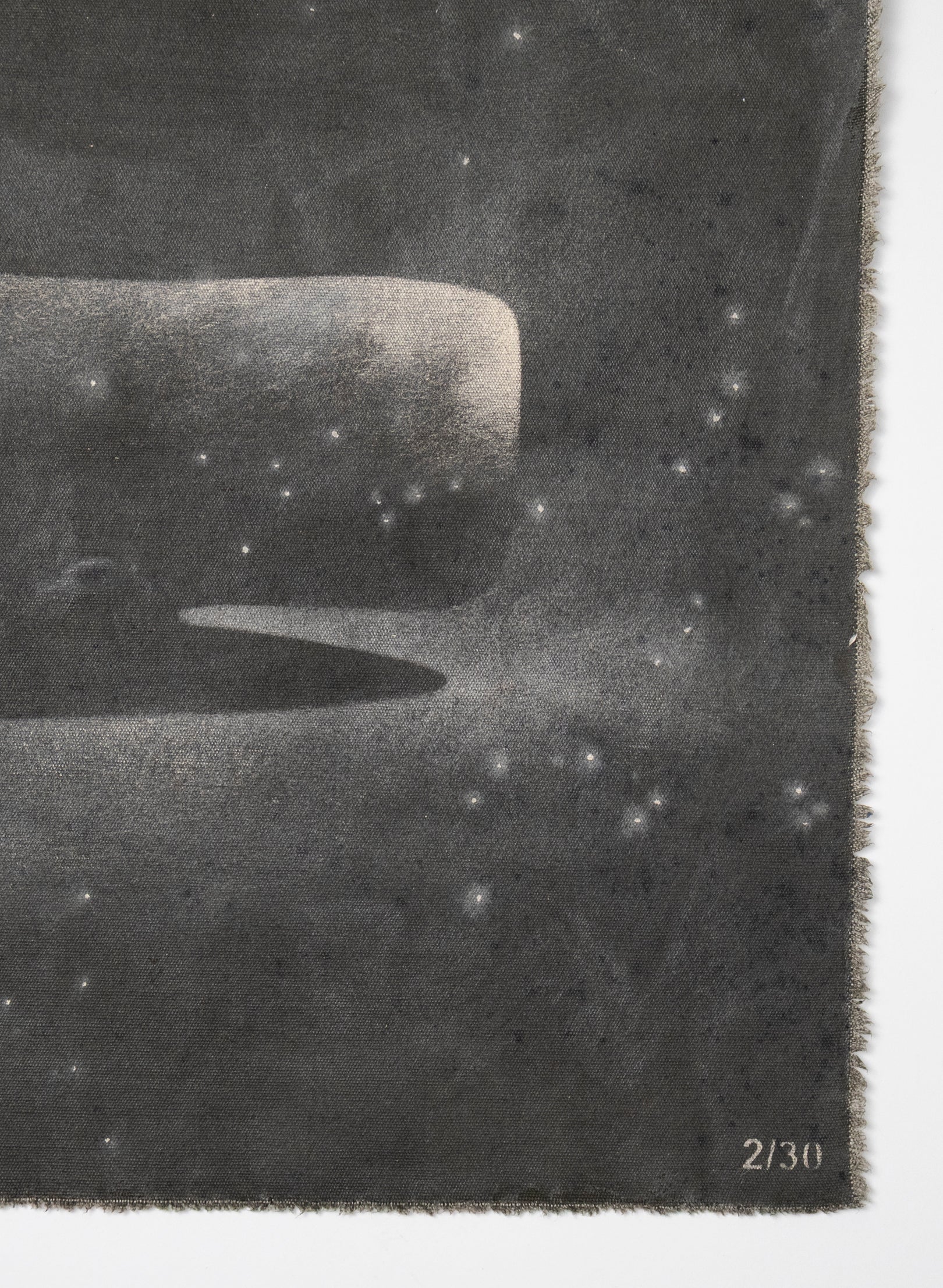 Small Heavy Whale 2/30