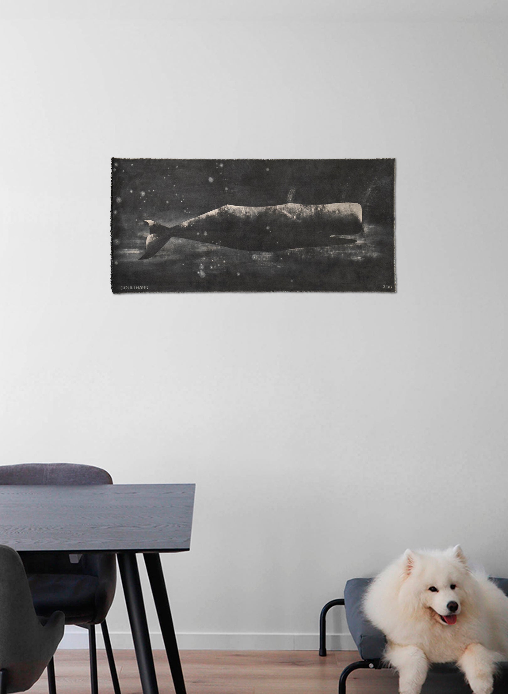 Small Heavy Whale 3/30