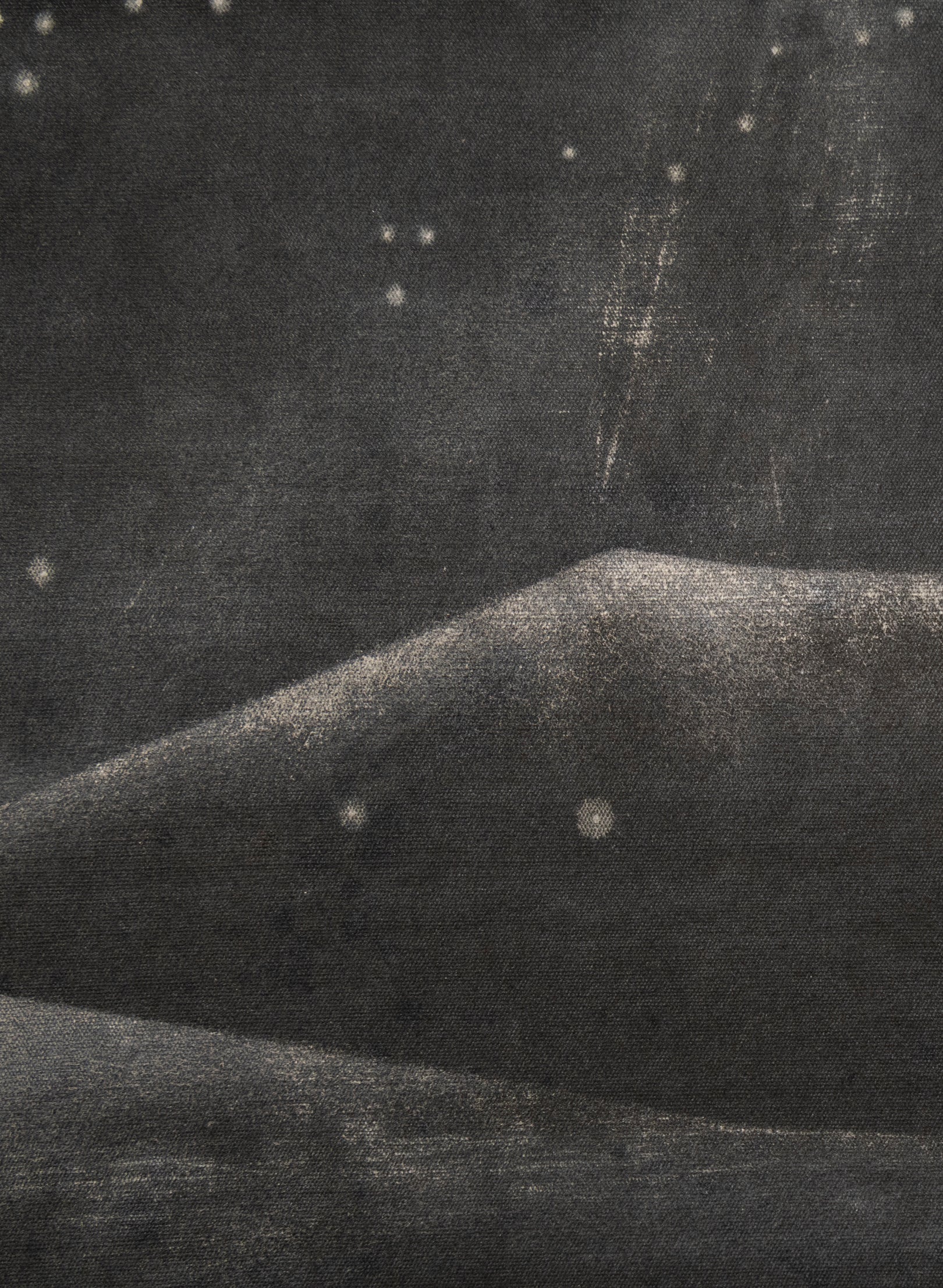 Small Heavy Whale 4/30