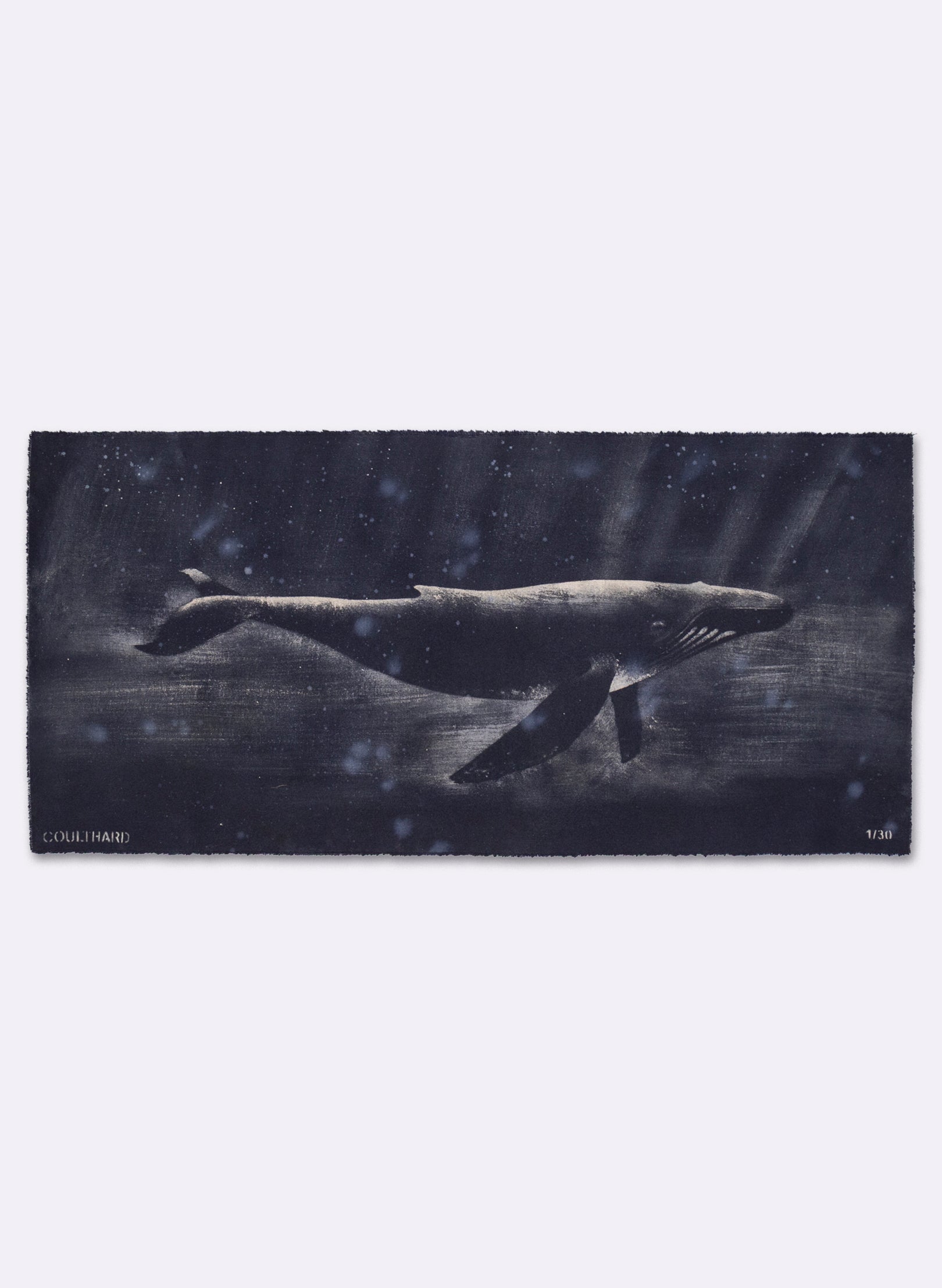 Dark Navy Humpback Whale