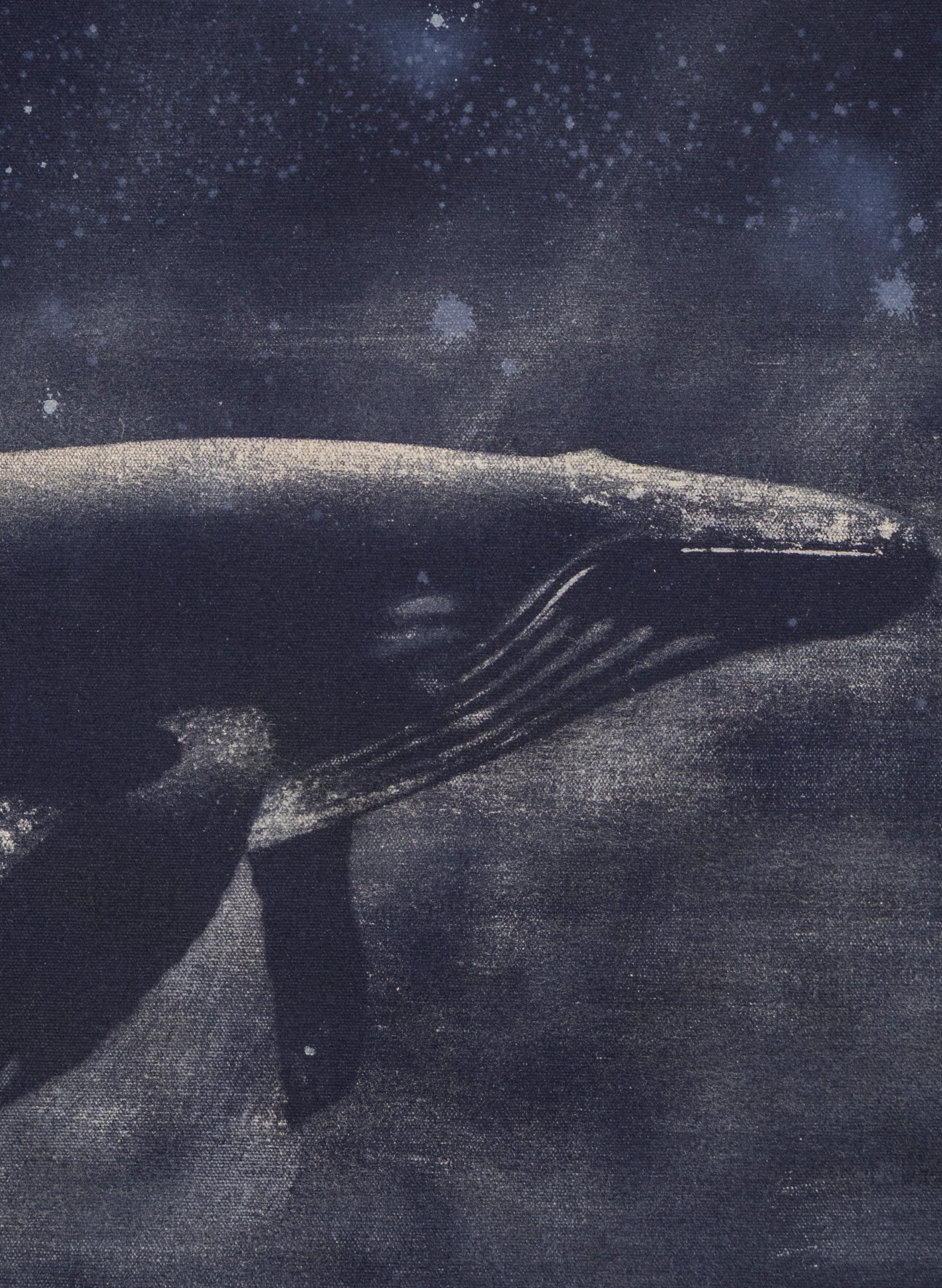 Dark Navy Humpback Whale