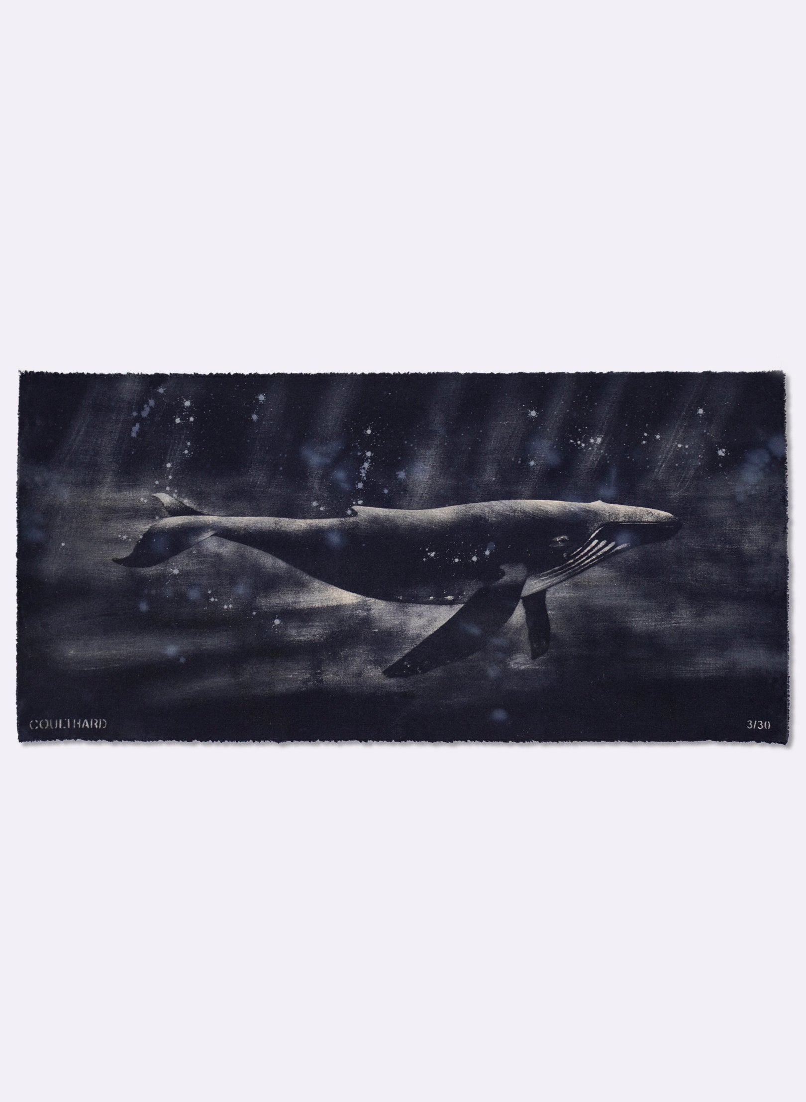 Dark Navy Humpback Whale