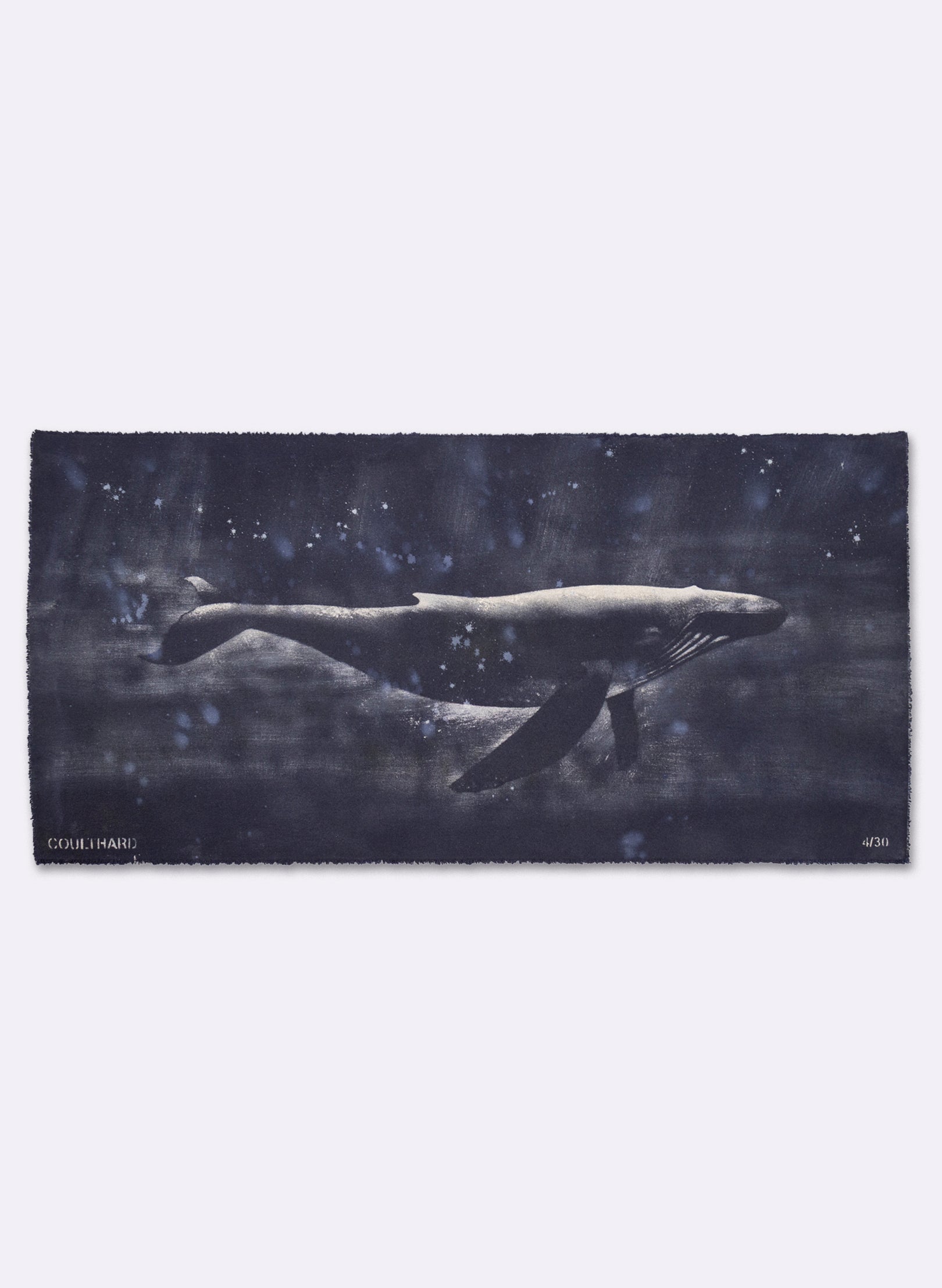 Dark Navy Humpback Whale