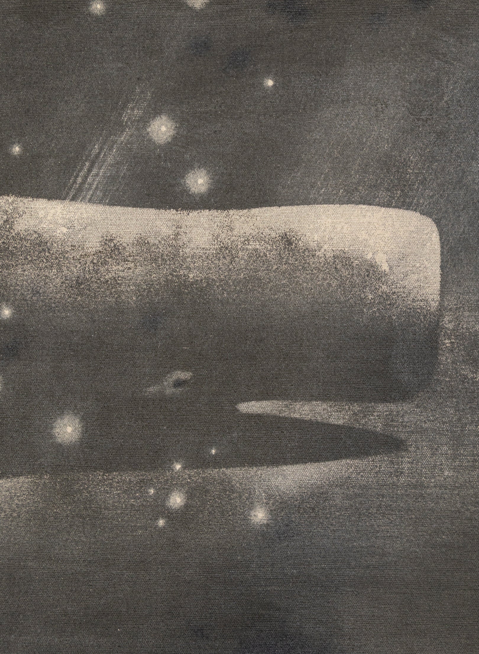Small Heavy Whale Flag 27/30