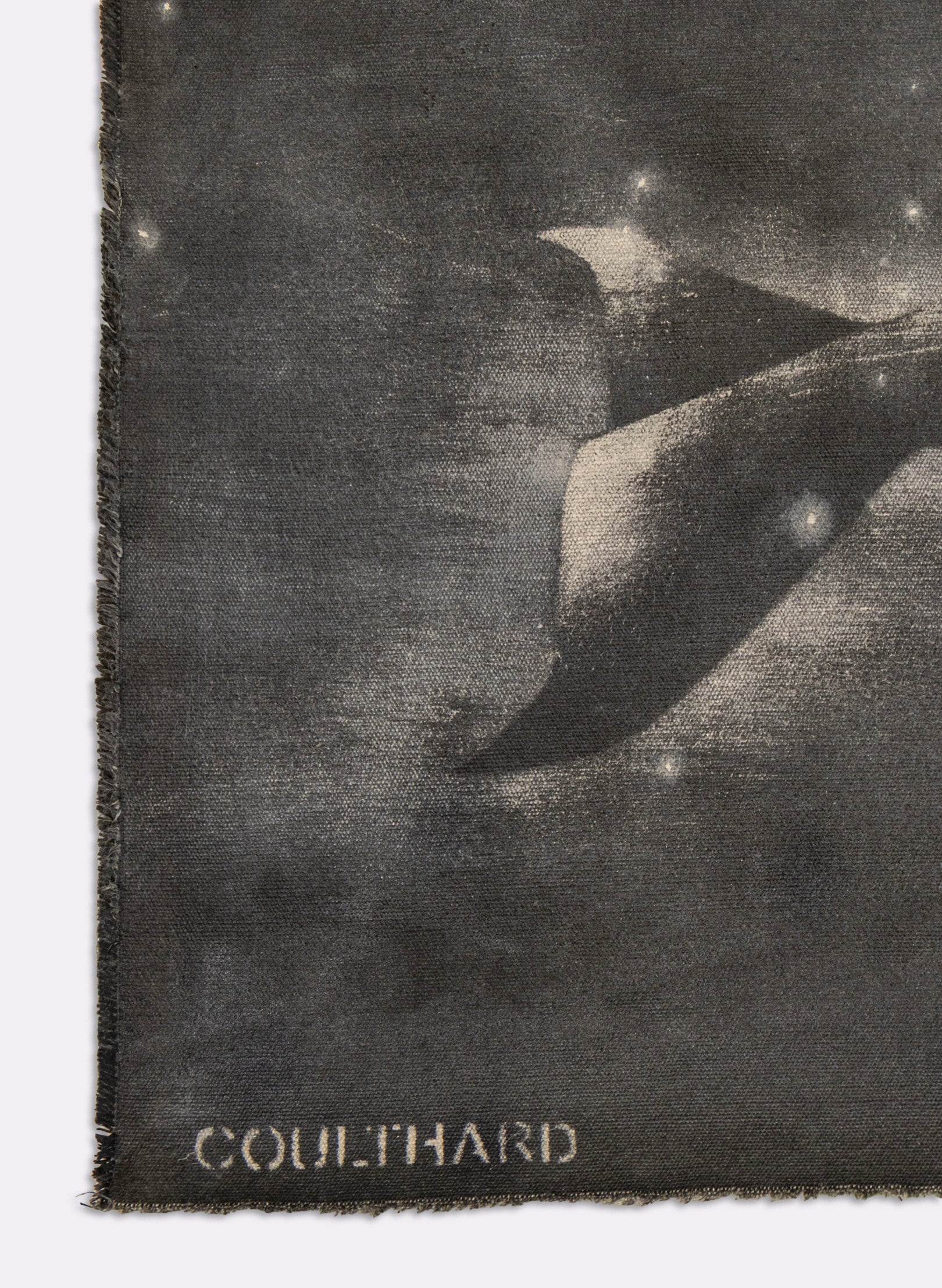 Small Heavy Whale Flag 29/30