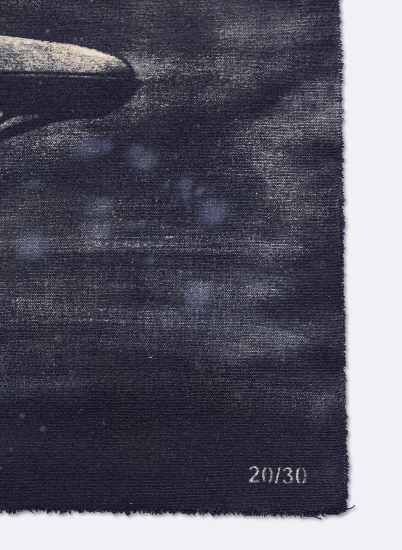 Dark Navy Humpback Whale