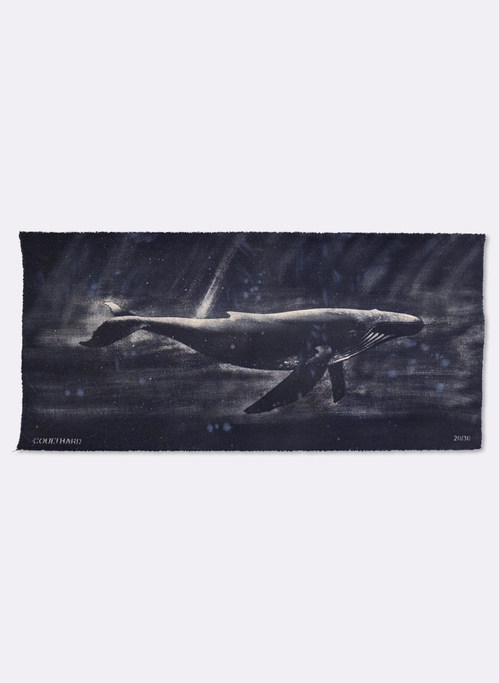 Dark Navy Humpback Whale