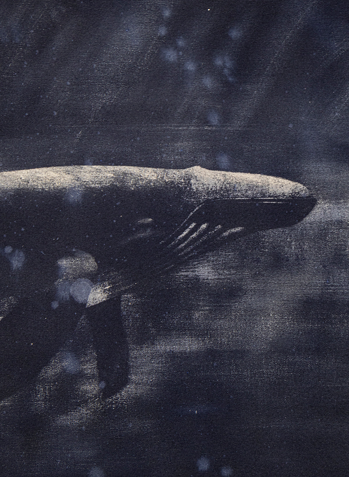 Dark Navy Humpback Whale
