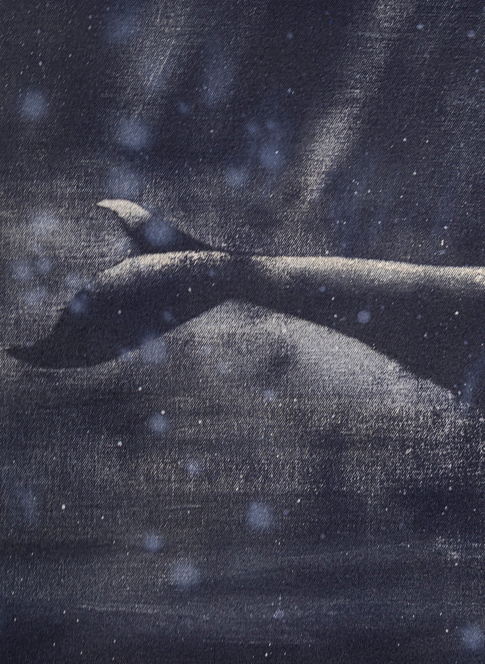 Dark Navy Humpback Whale