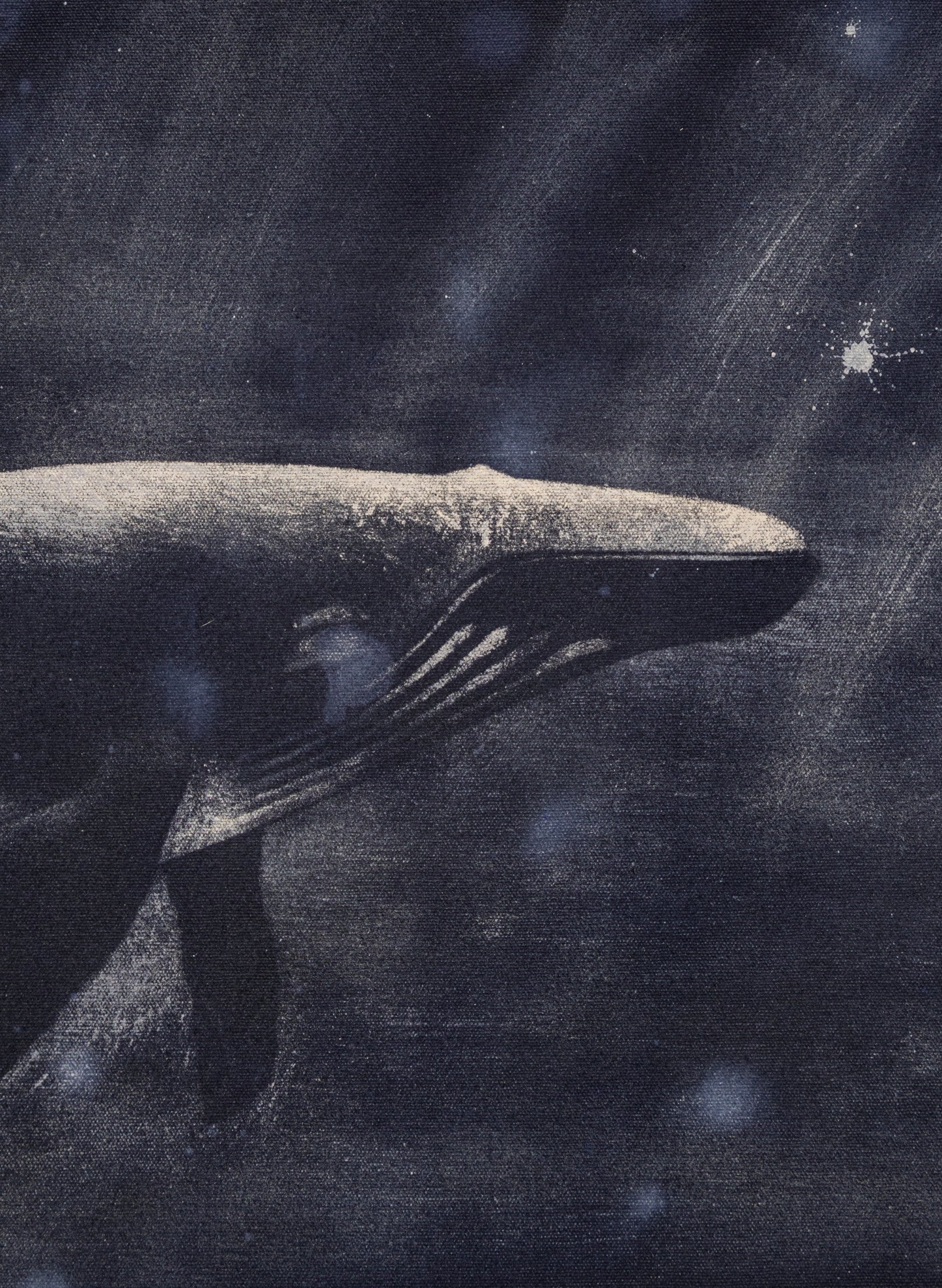 Dark Navy Humpback Whale