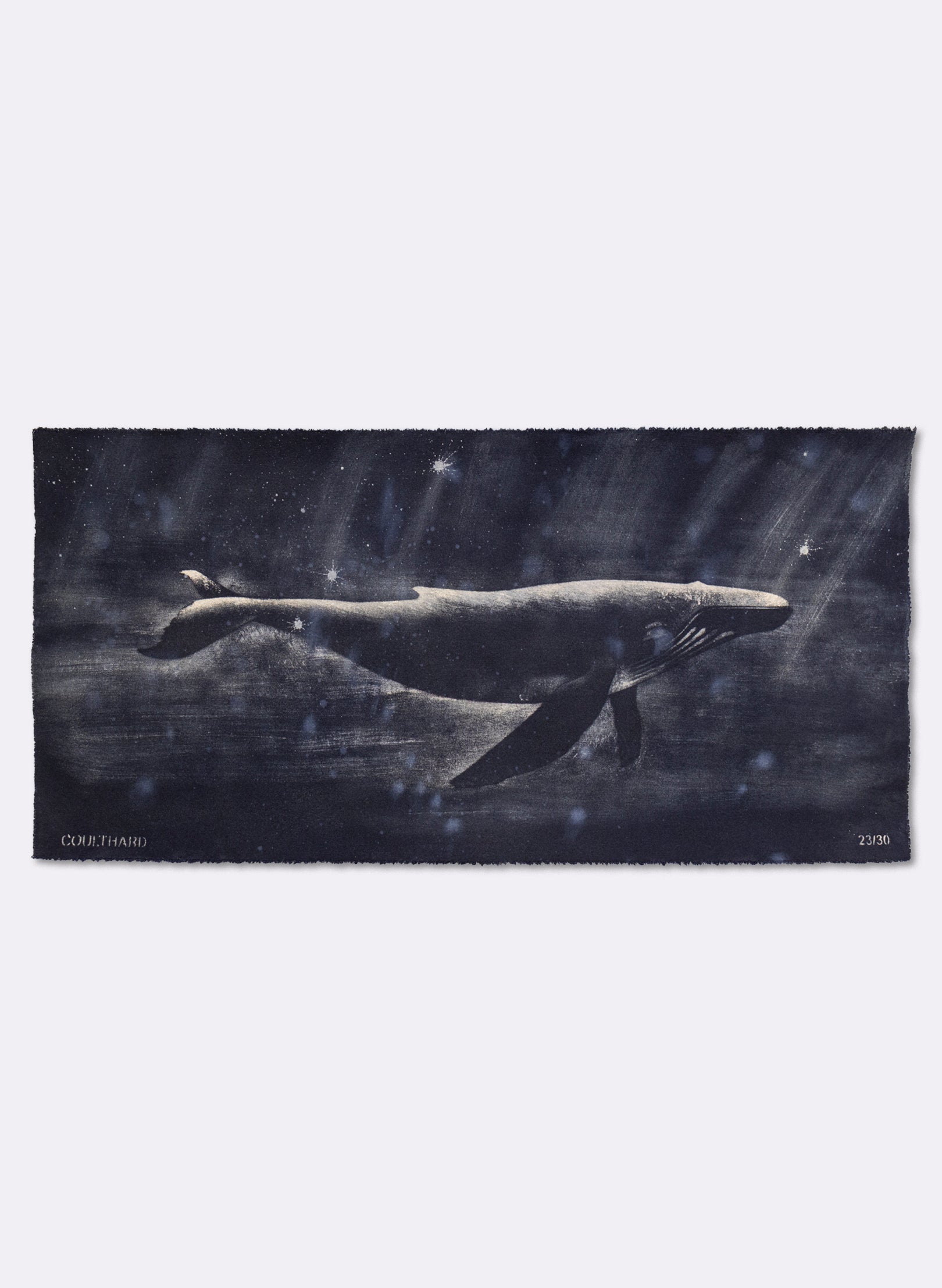 Dark Navy Humpback Whale