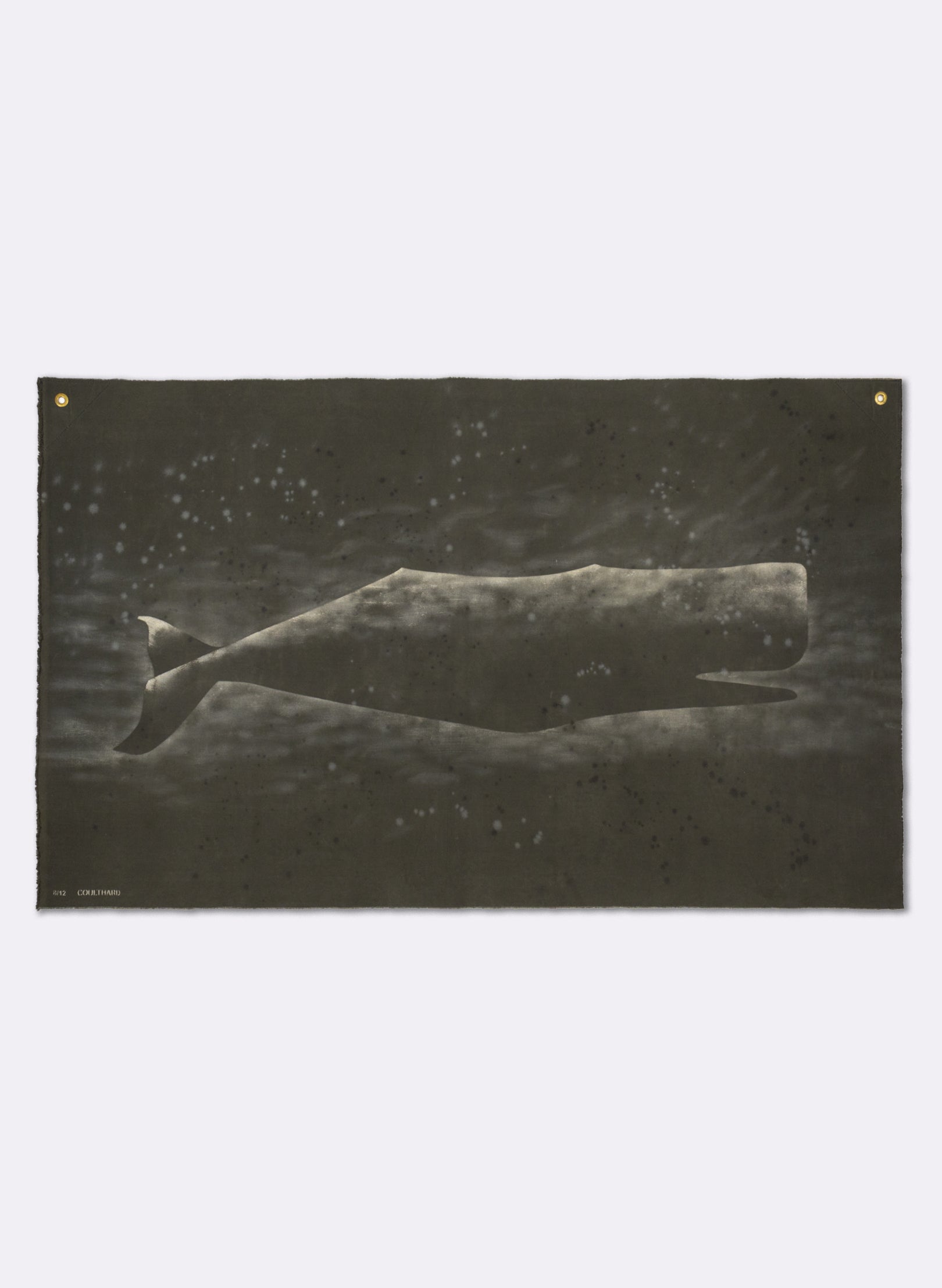 Large Heavy Whale Flag 8/12