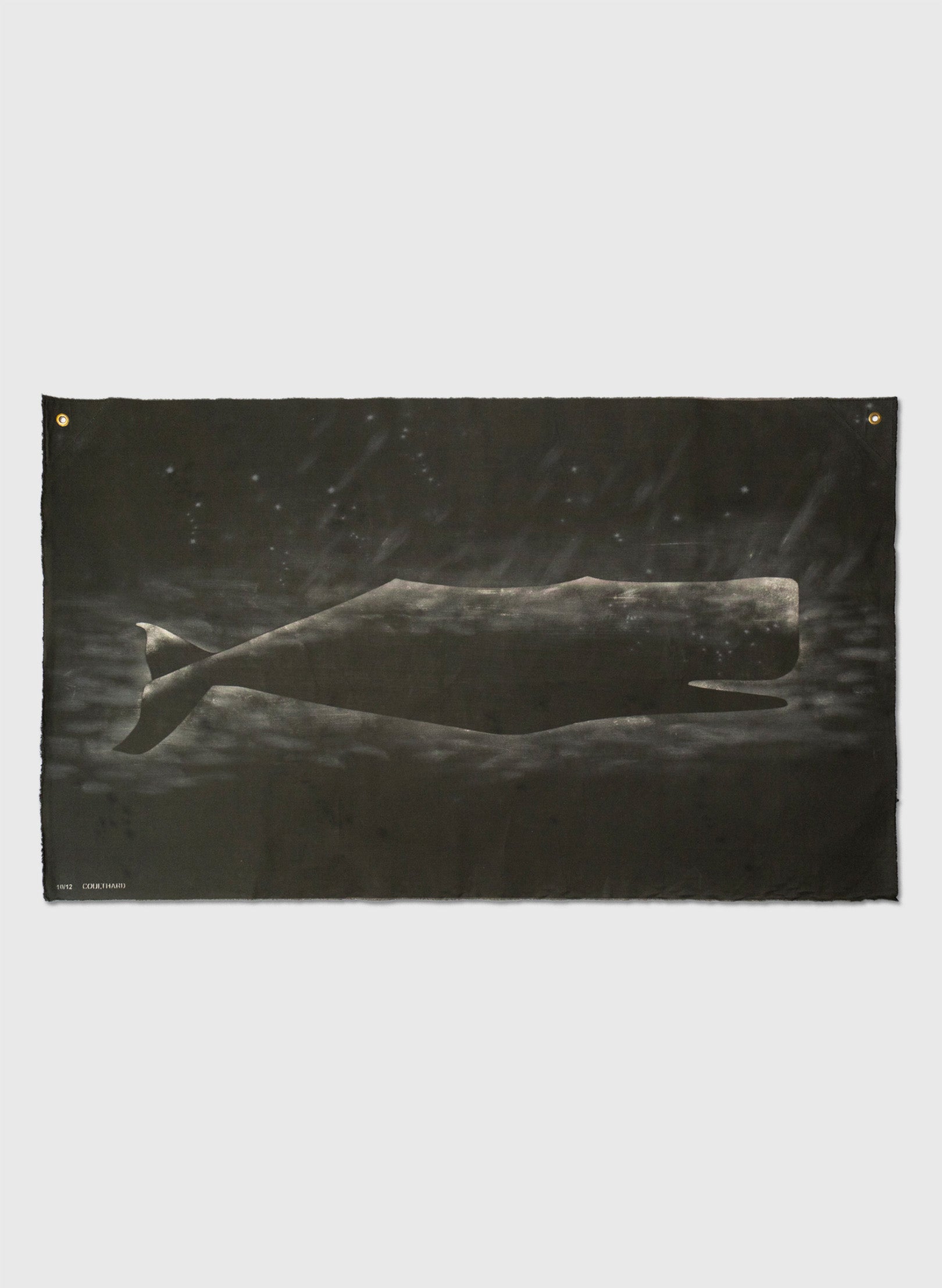 Large Heavy Whale Flag 10/12