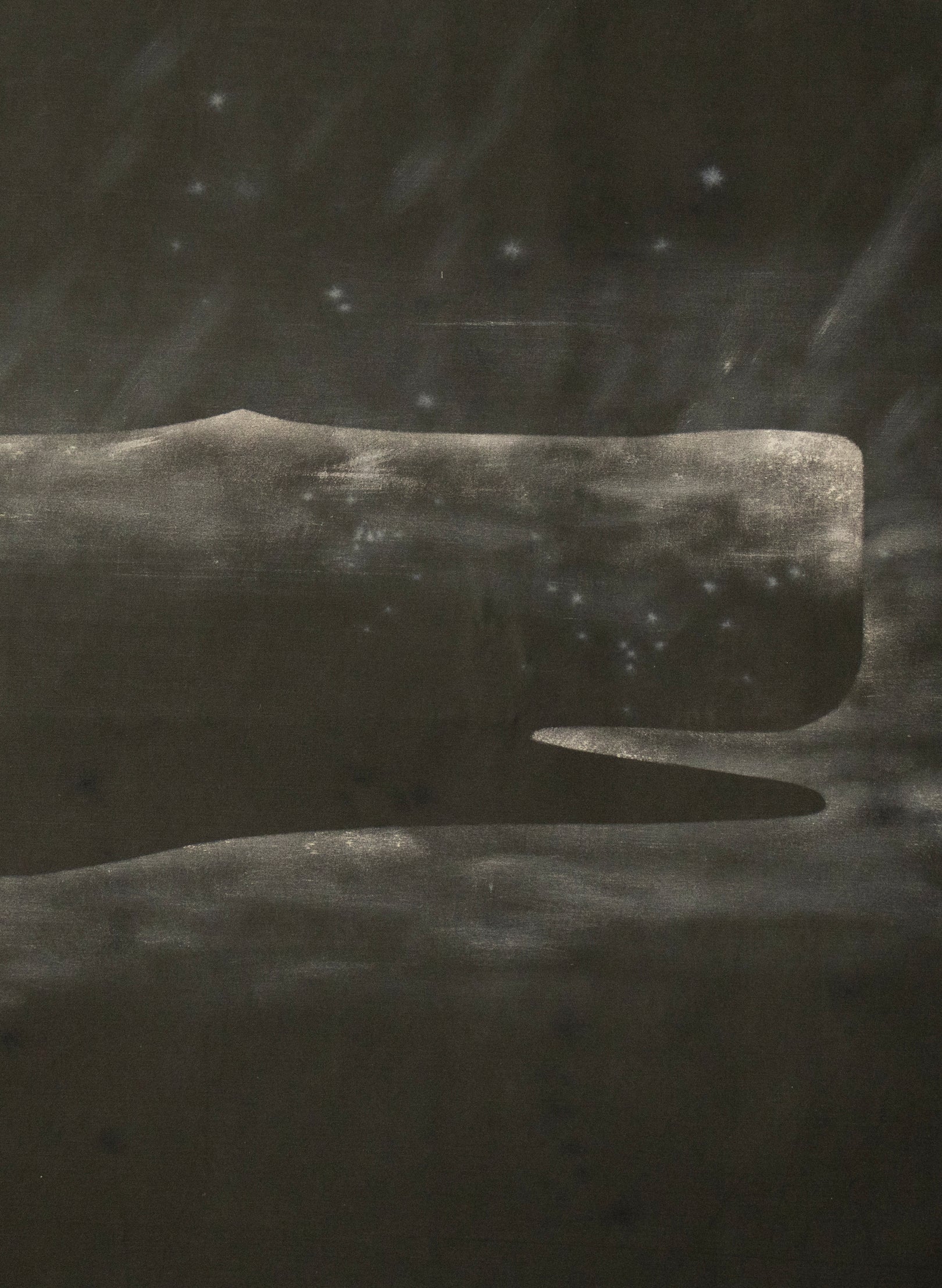 Large Heavy Whale Flag 10/12