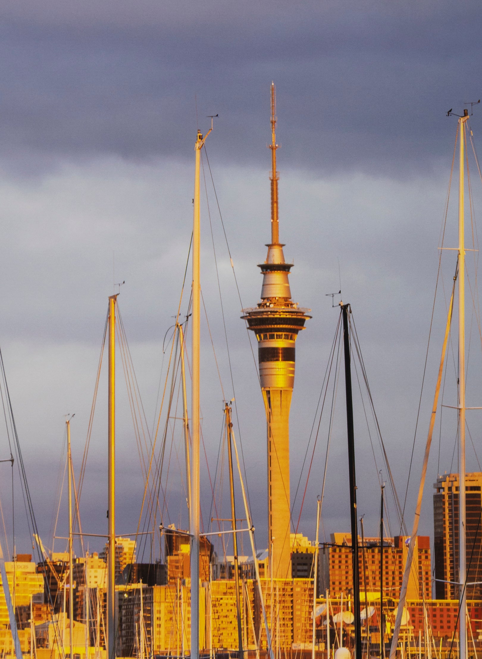 Twilight In The City - Photographic Print