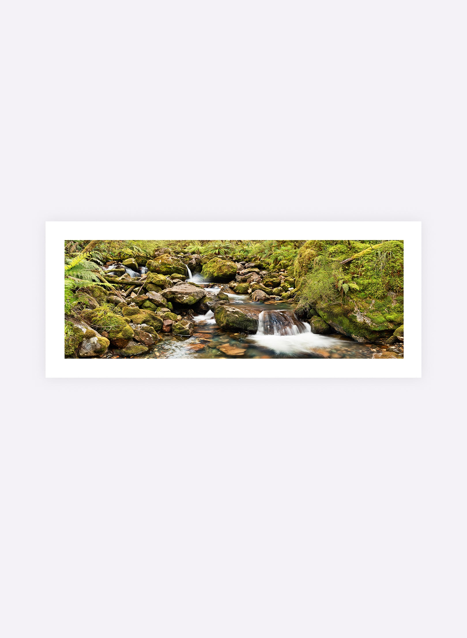 Poetry In Motion - Photographic Print