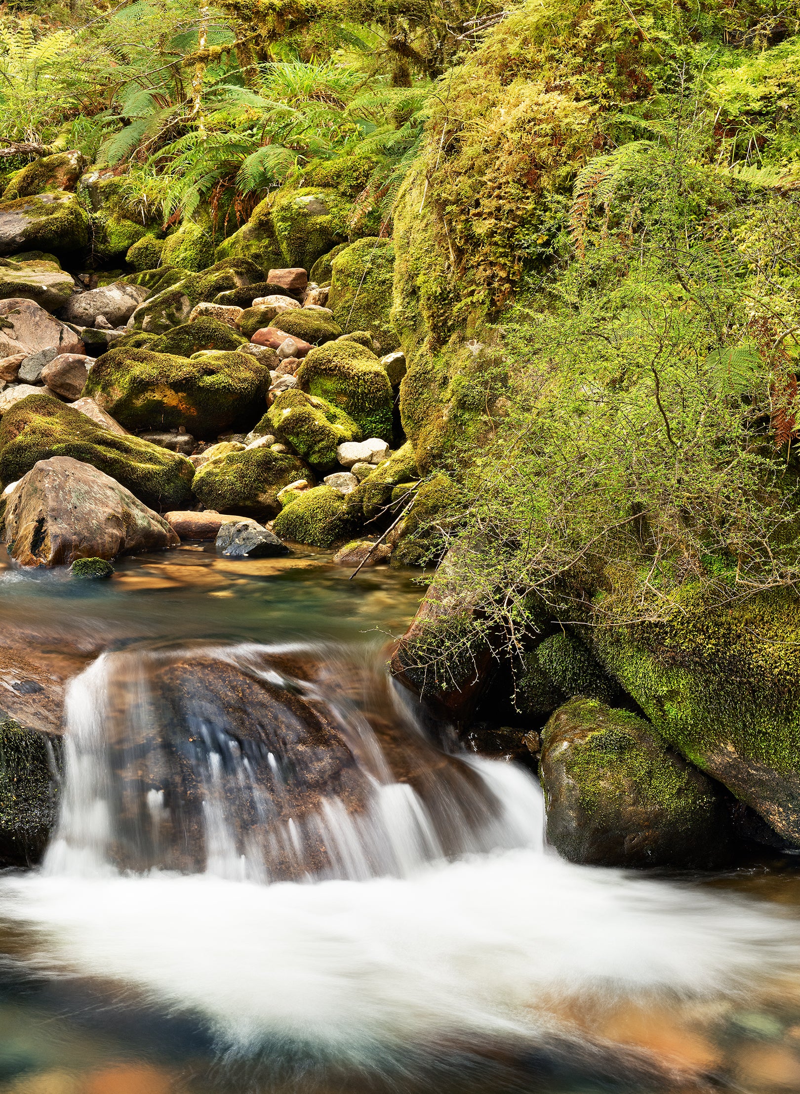 Poetry In Motion - Photographic Print