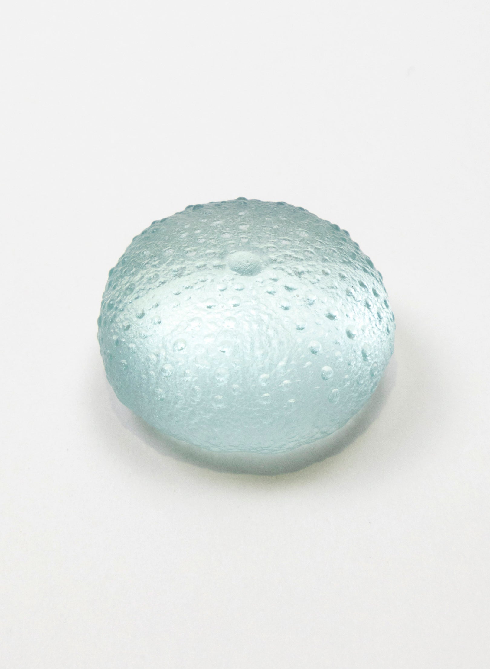 Small Sea Urchin - Pale Lagoon