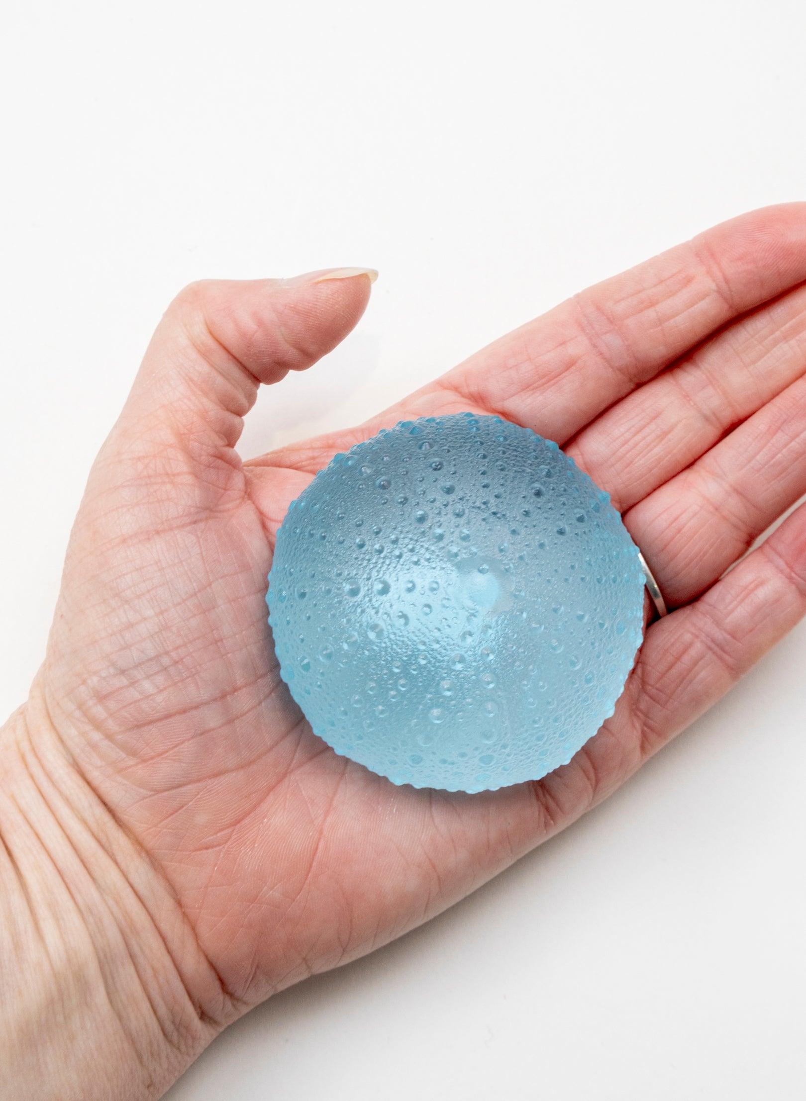 1XL Sea Urchin - Light Aqua