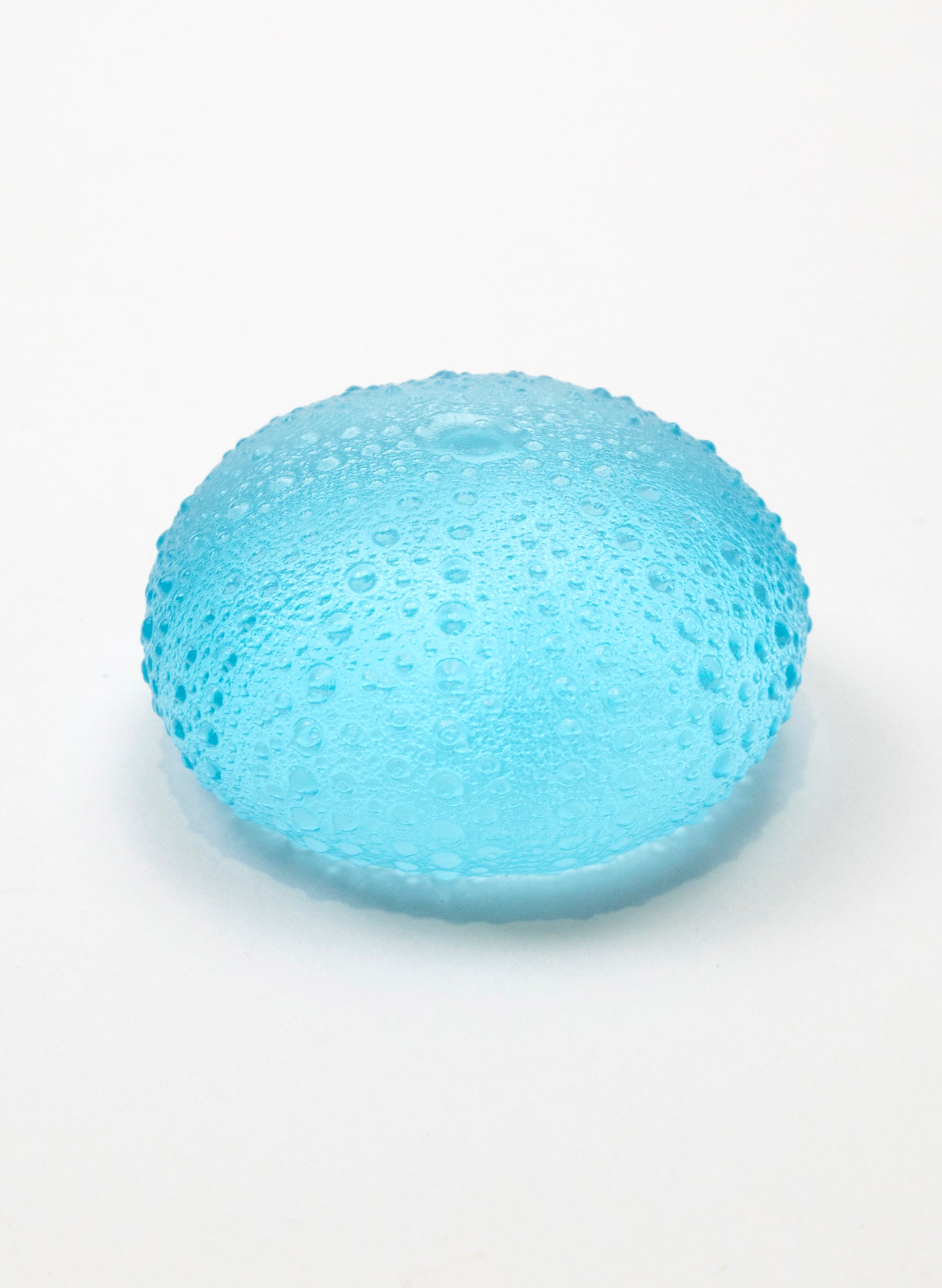 1XL Sea Urchin - Light Aqua