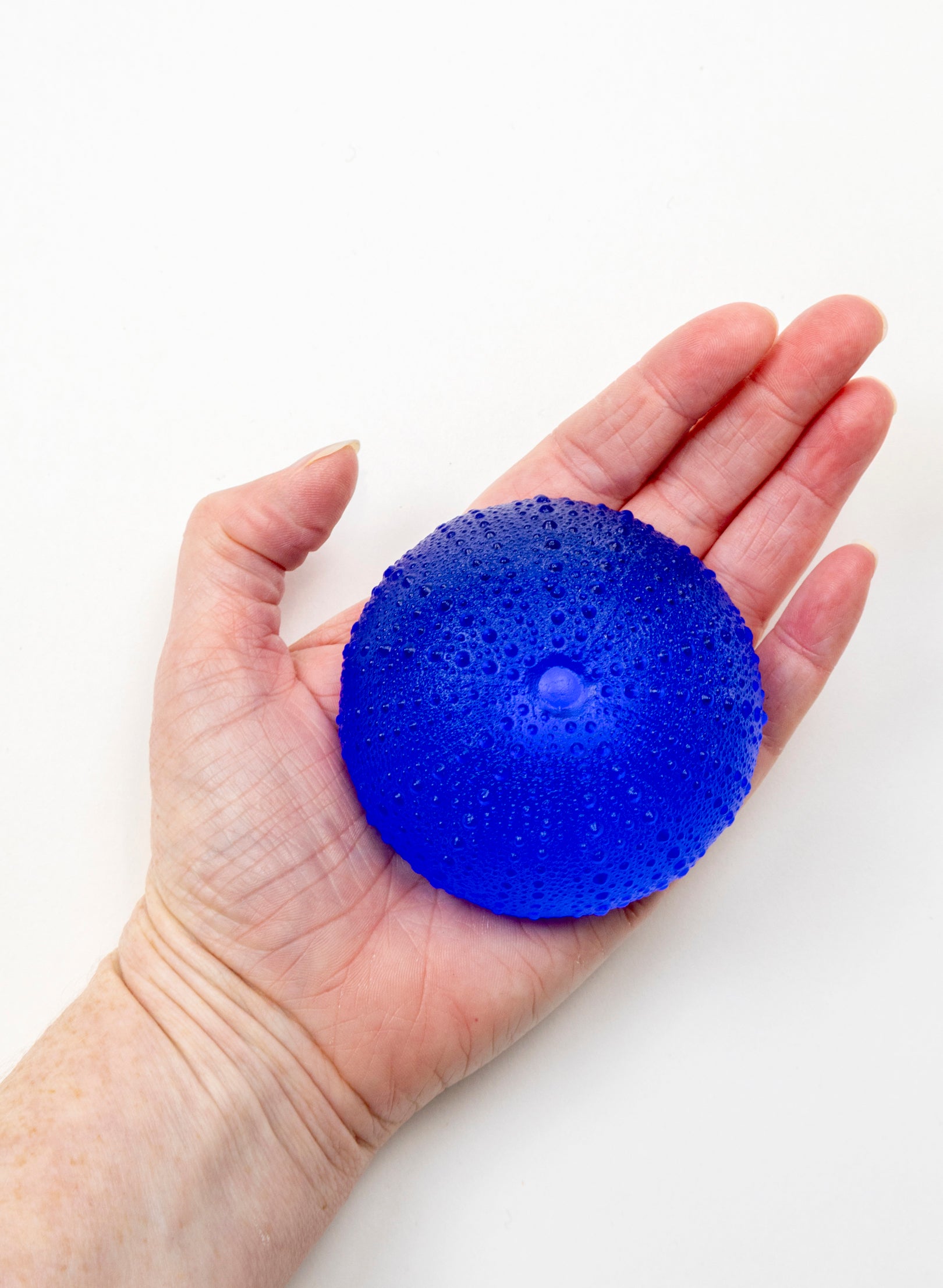 3XL Sea Urchin - Mid Blue