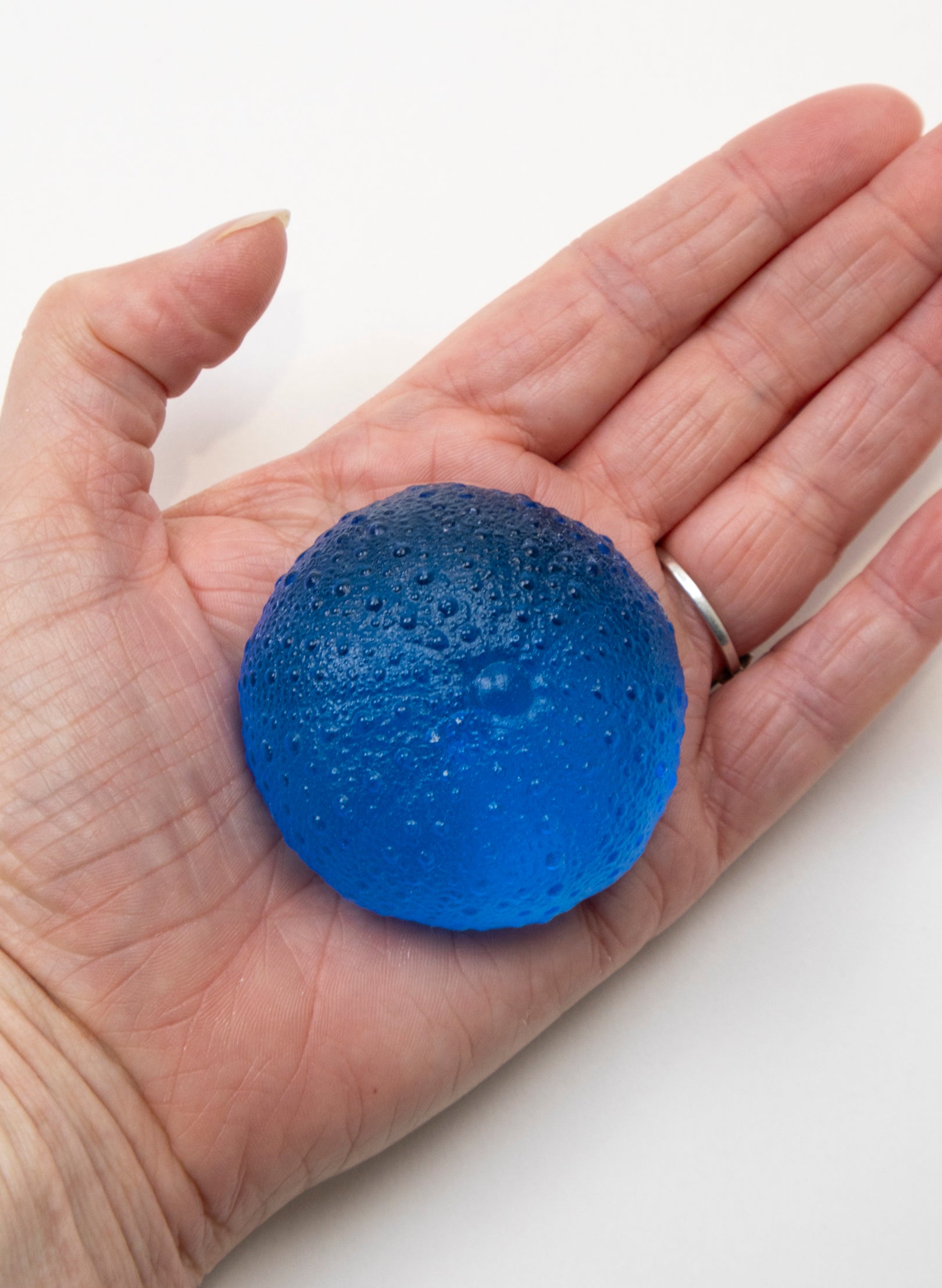 Large Sea Urchin - Dark Aqua