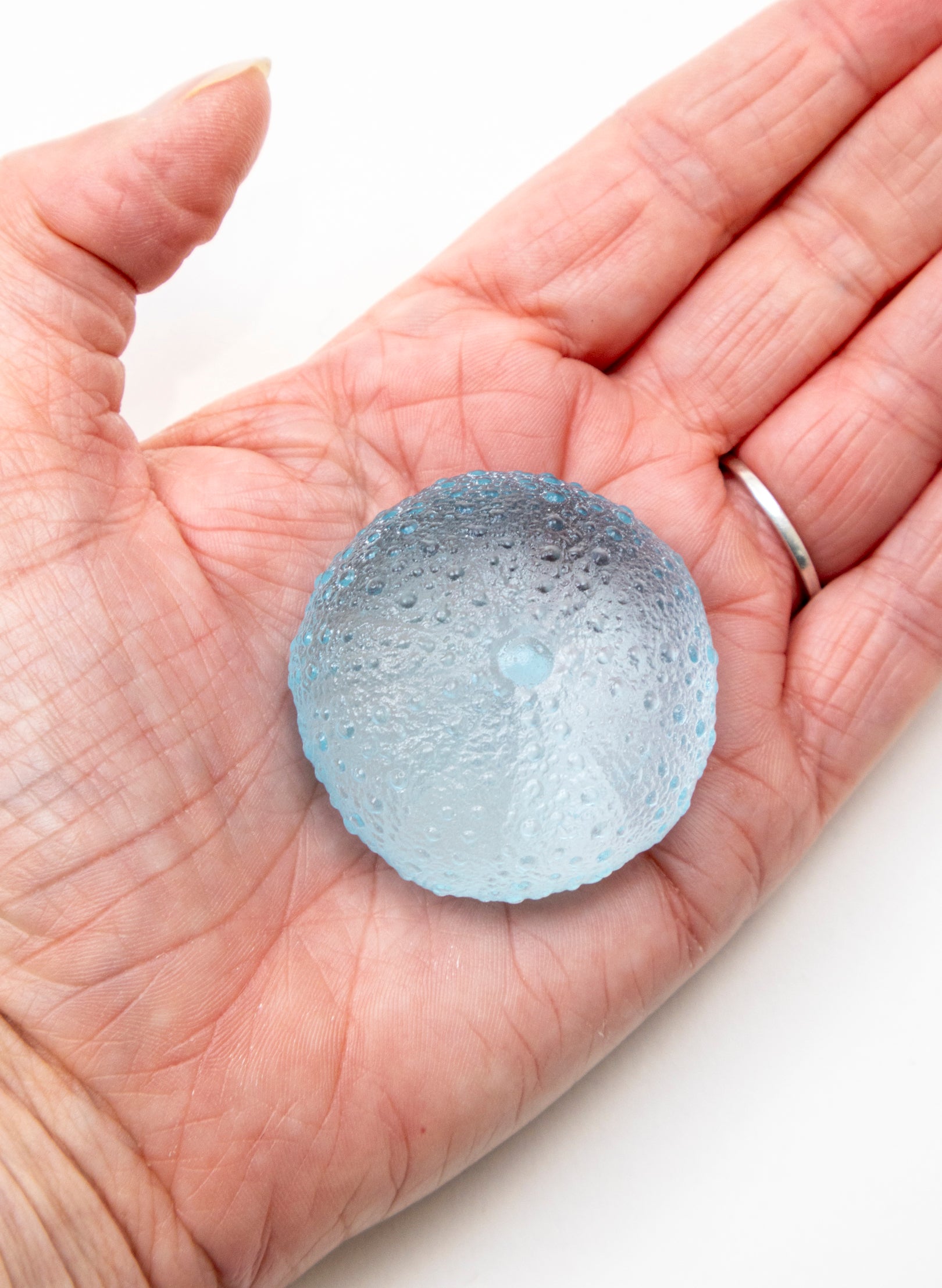 Small Sea Urchin - Light Aqua