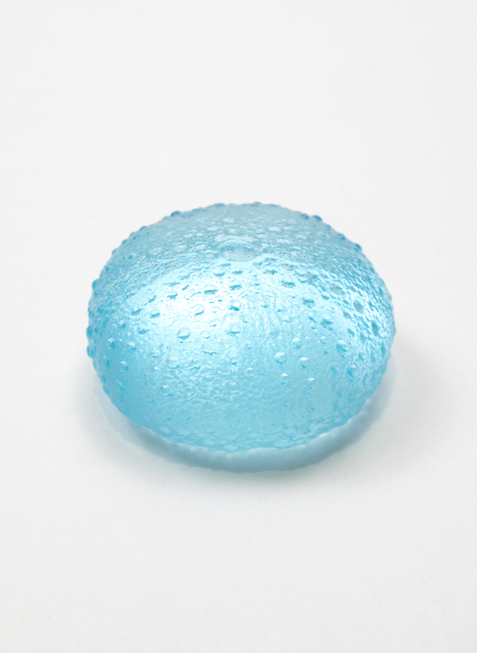 Small Sea Urchin - Light Aqua