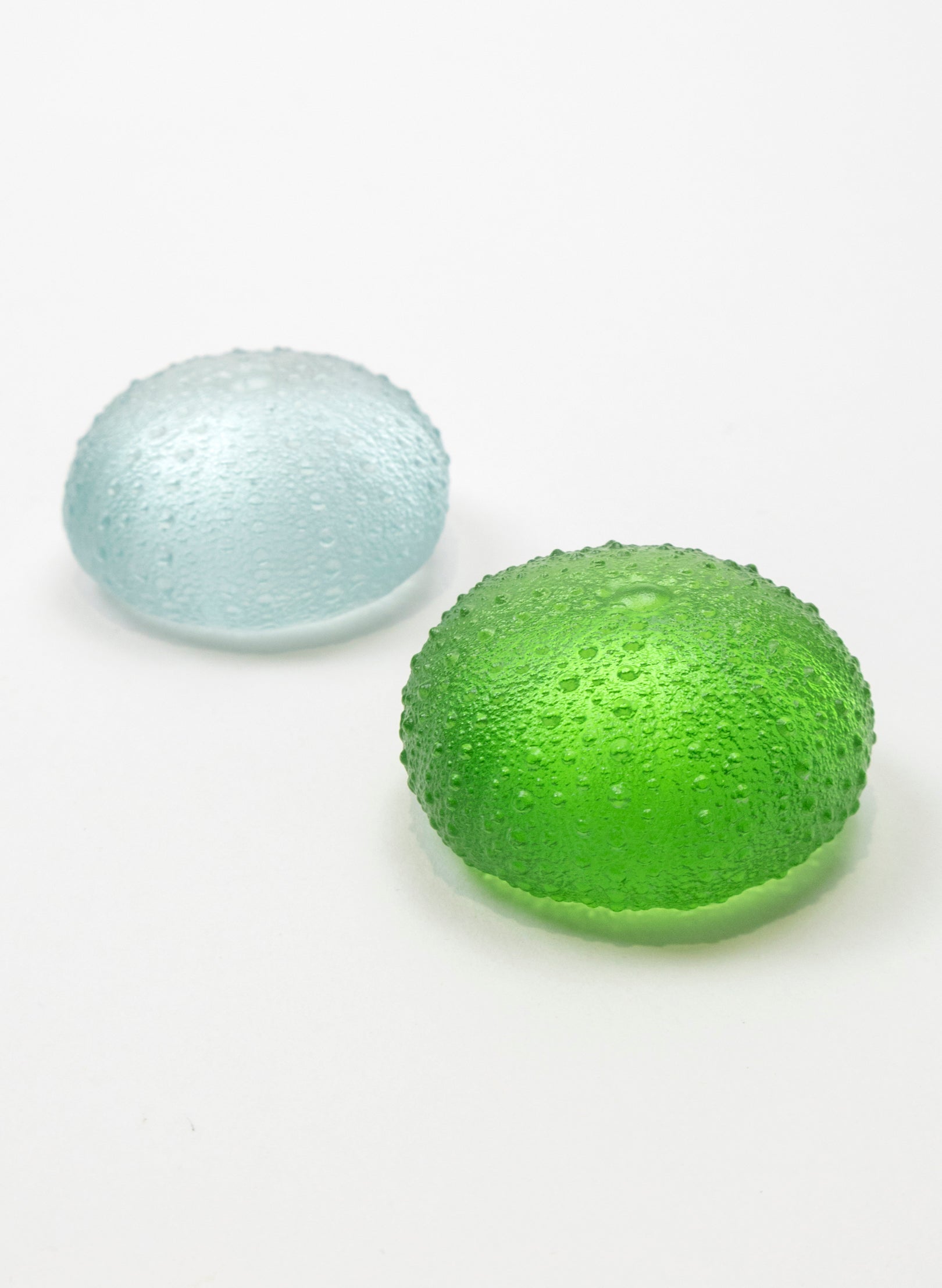 Medium Sea Urchin - Lime