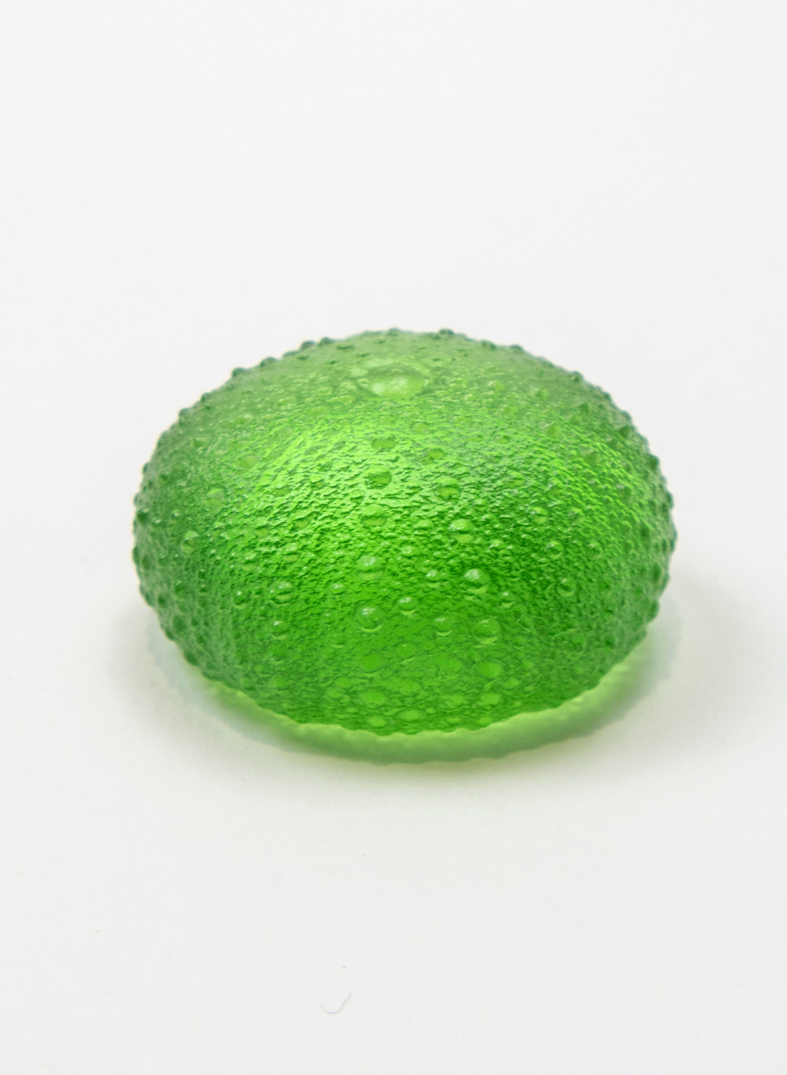 Small Sea Urchin - Lime