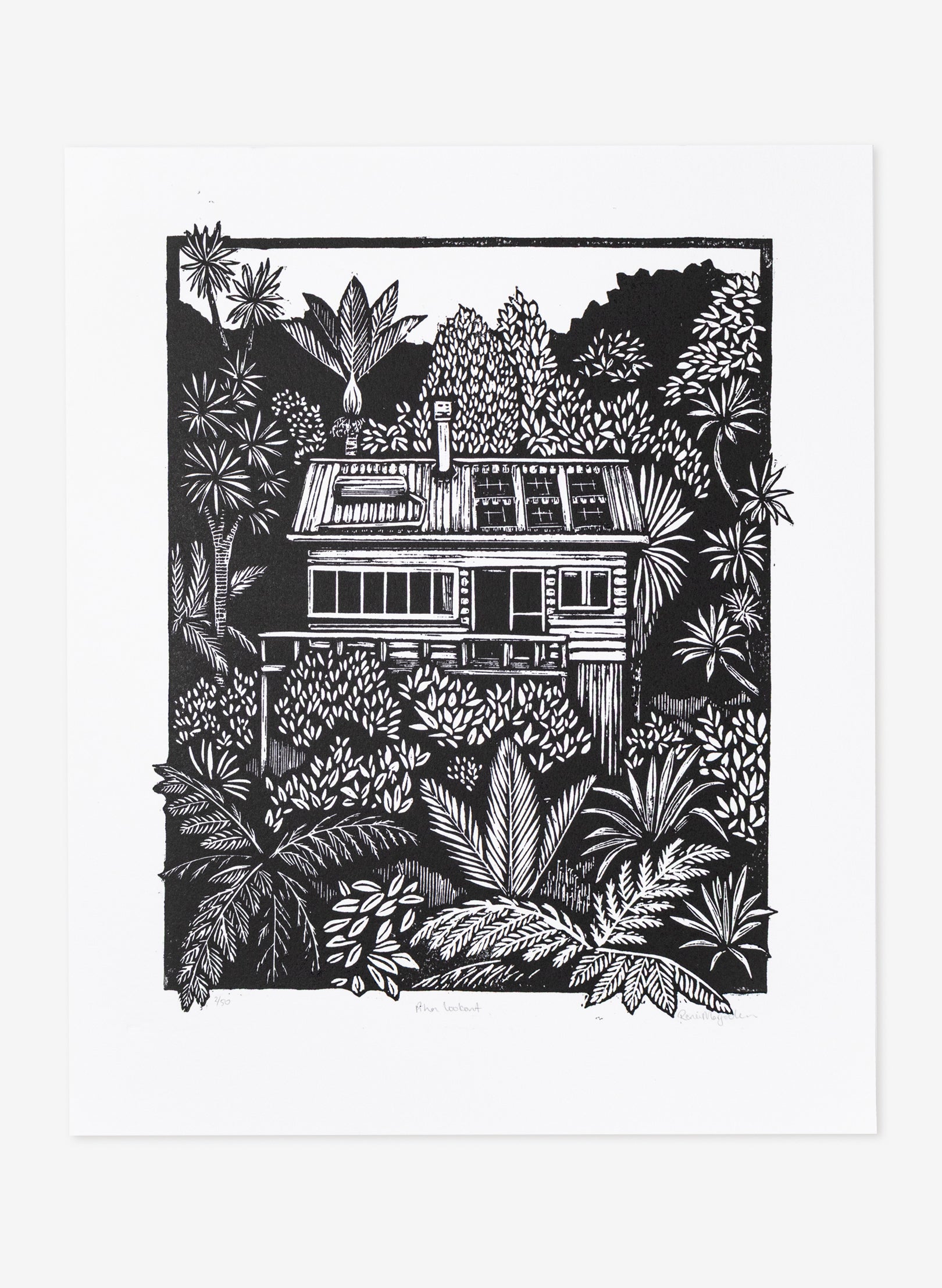 Piha Lookout 2/50