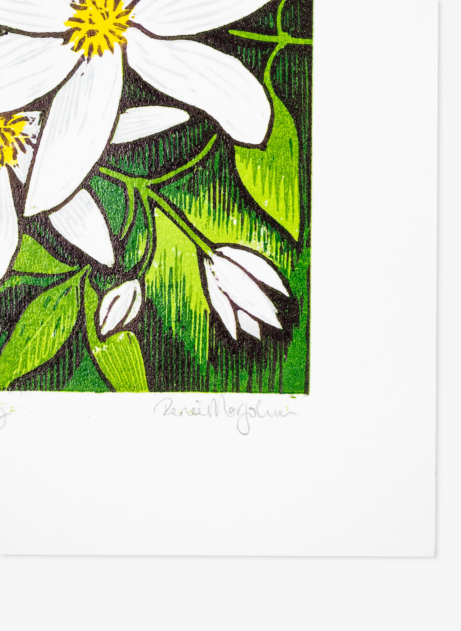 Stars of Spring (Colour) - Wood Cut Print