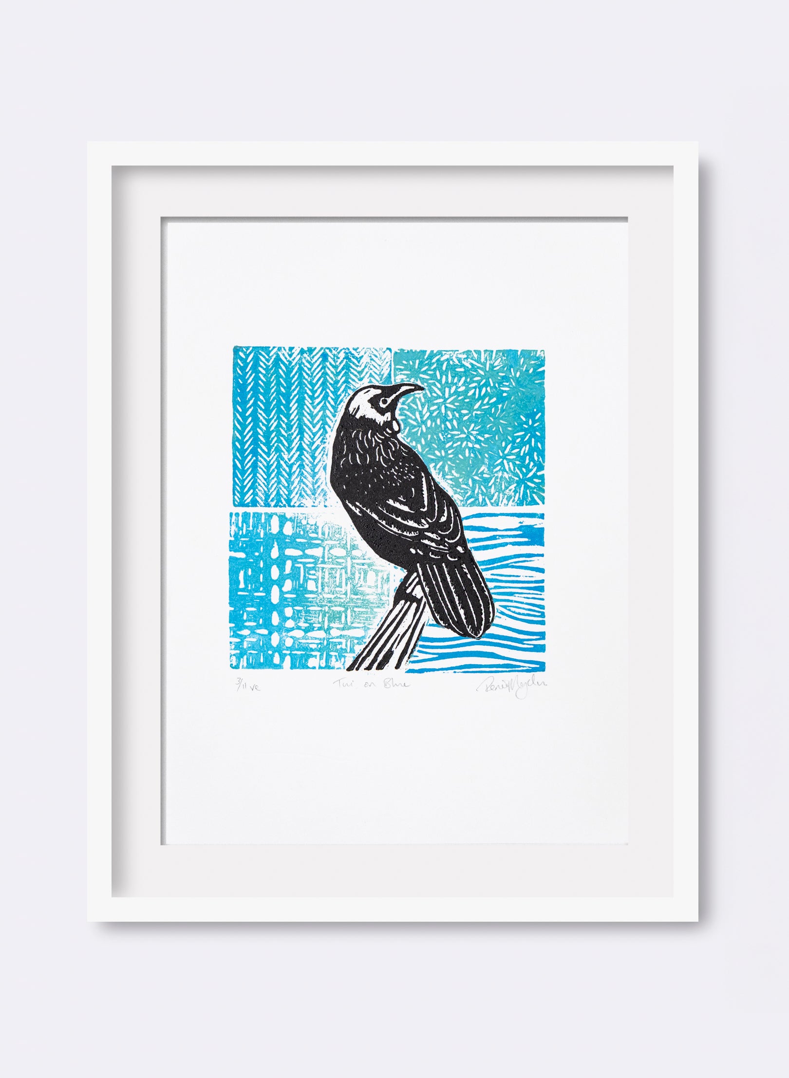 Tūī On Blue 3/11