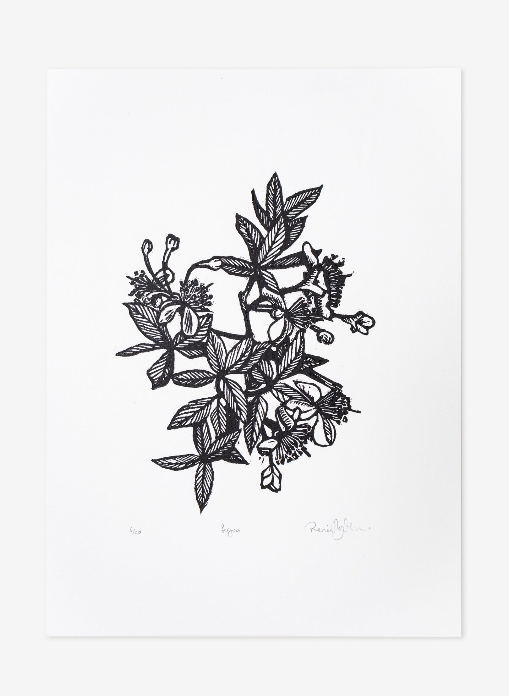 Feijoa - Wood Cut Print