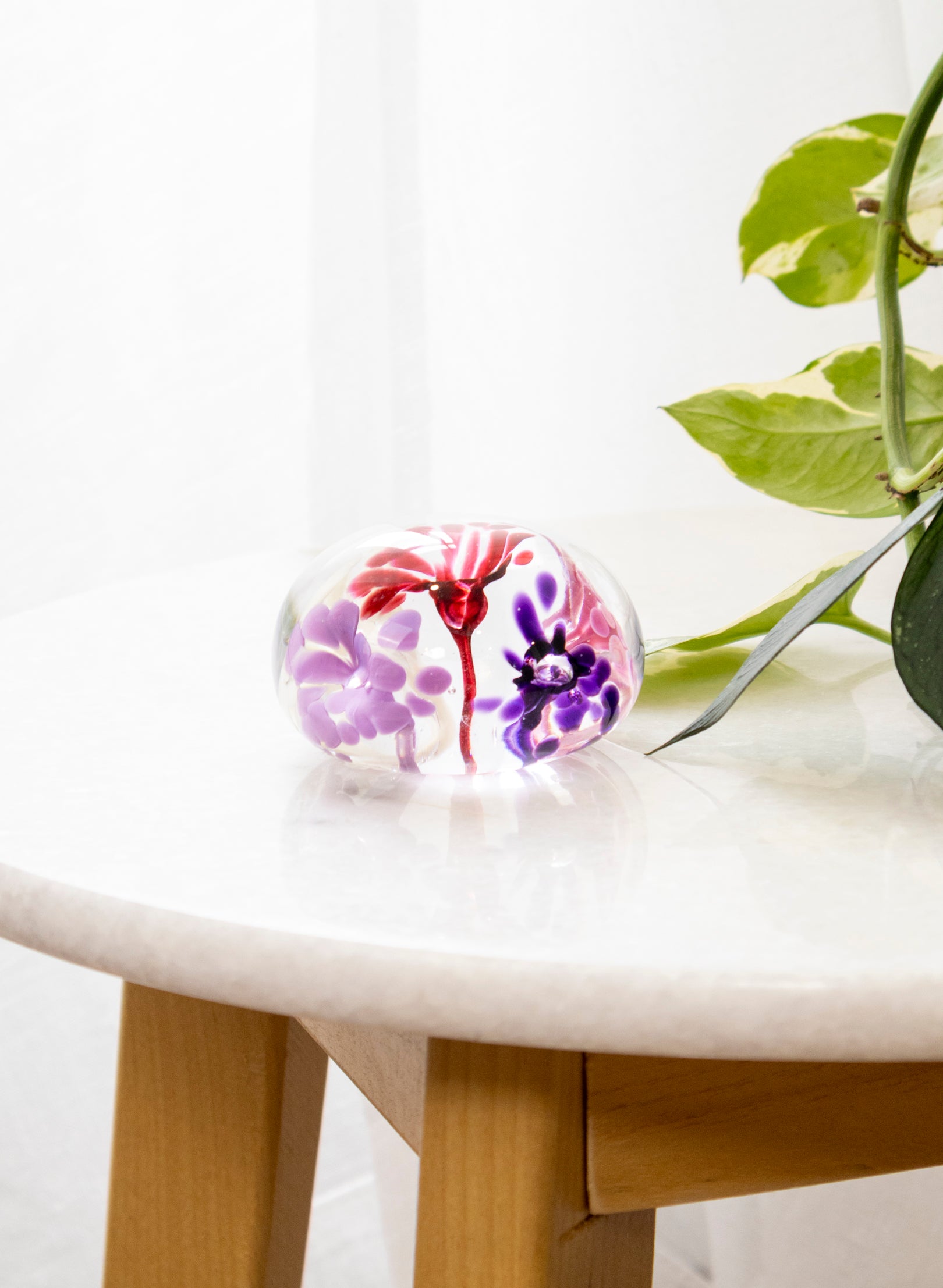 Snow Globes - Paperweight