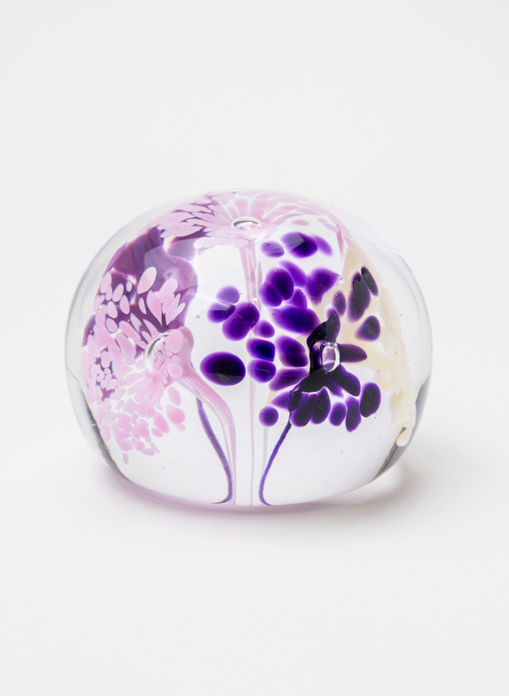 Snow Globes - Paperweight