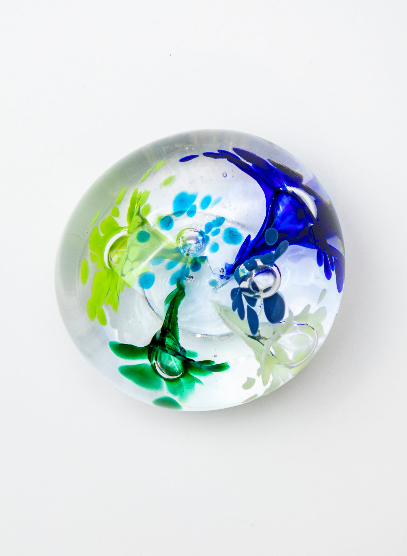 Snow Globes - Paperweight