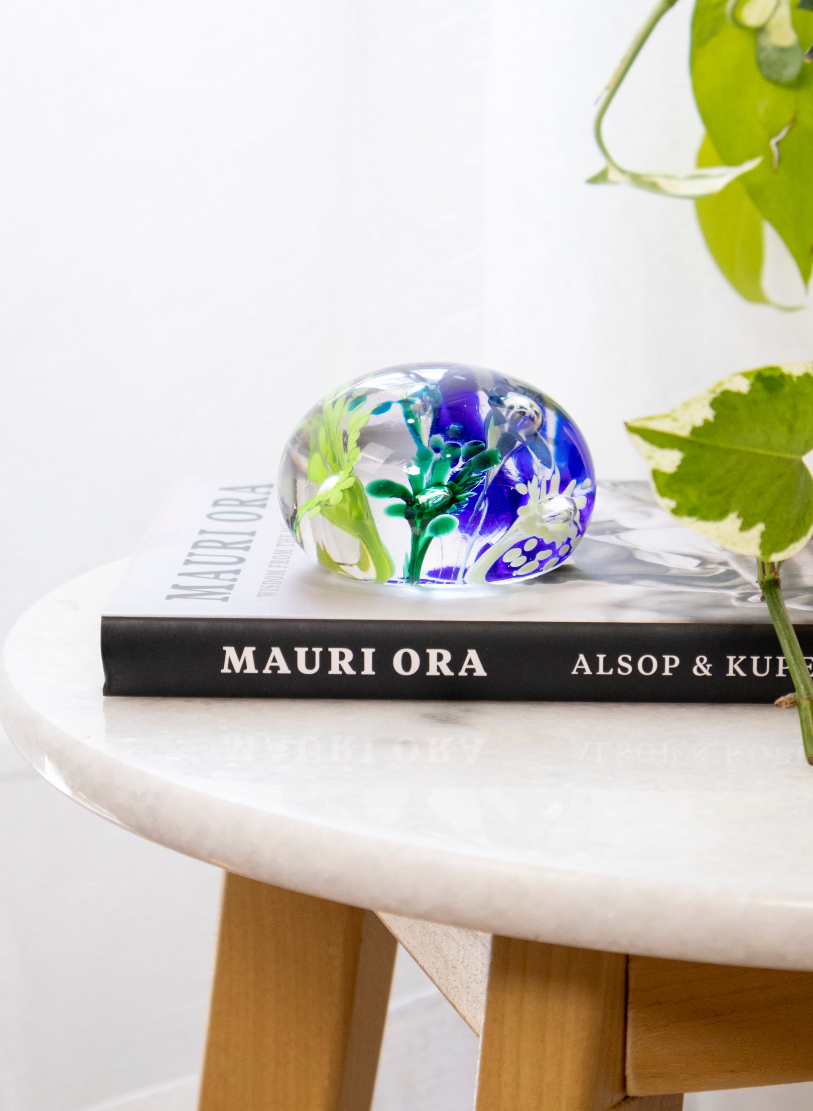 Snow Globes - Paperweight