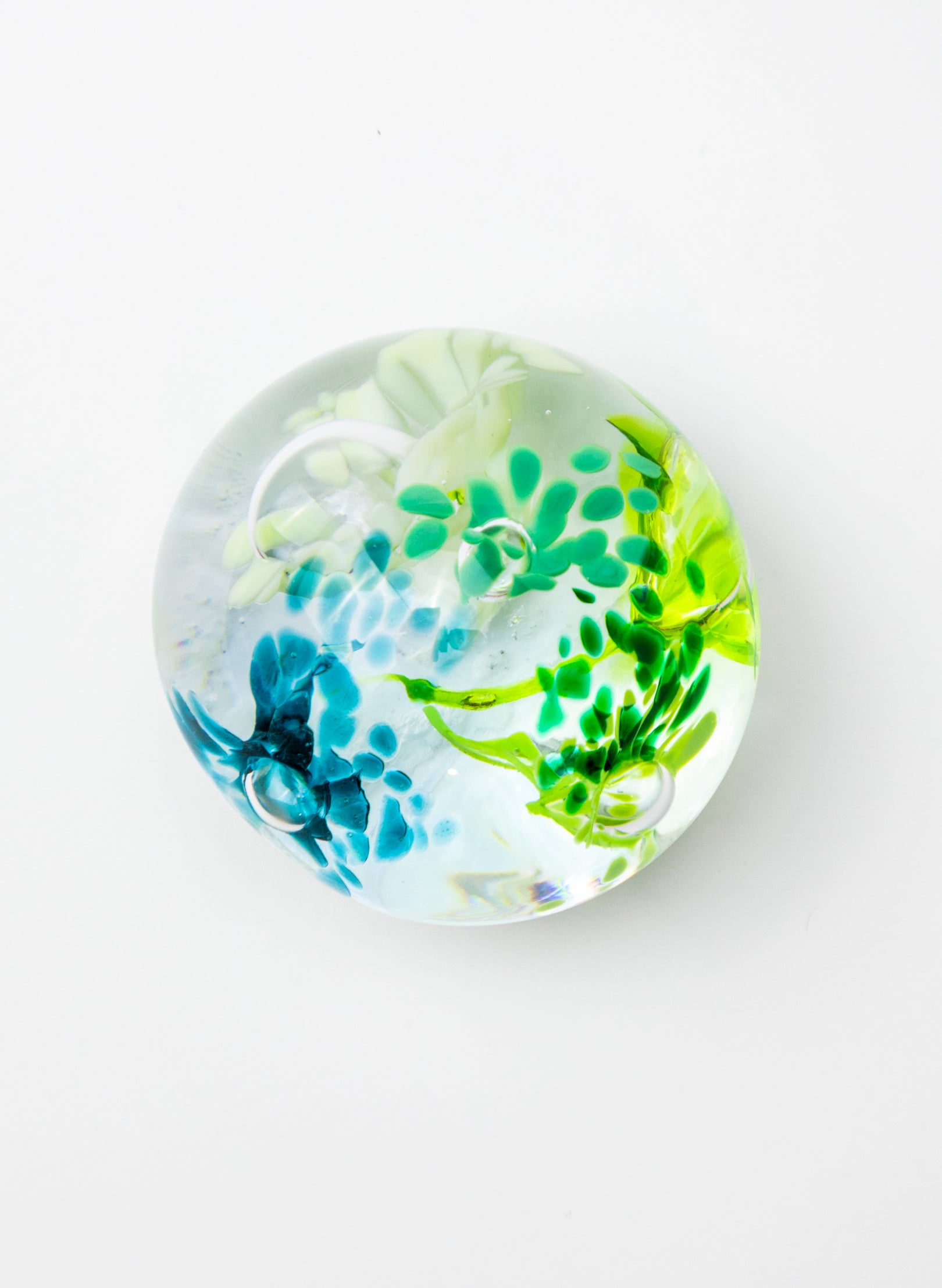 Snow Globes - Paperweight