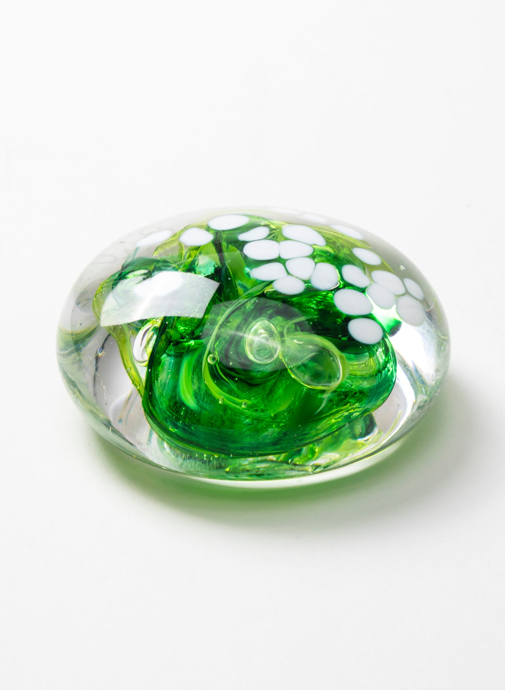 Snow Globes - Paperweight