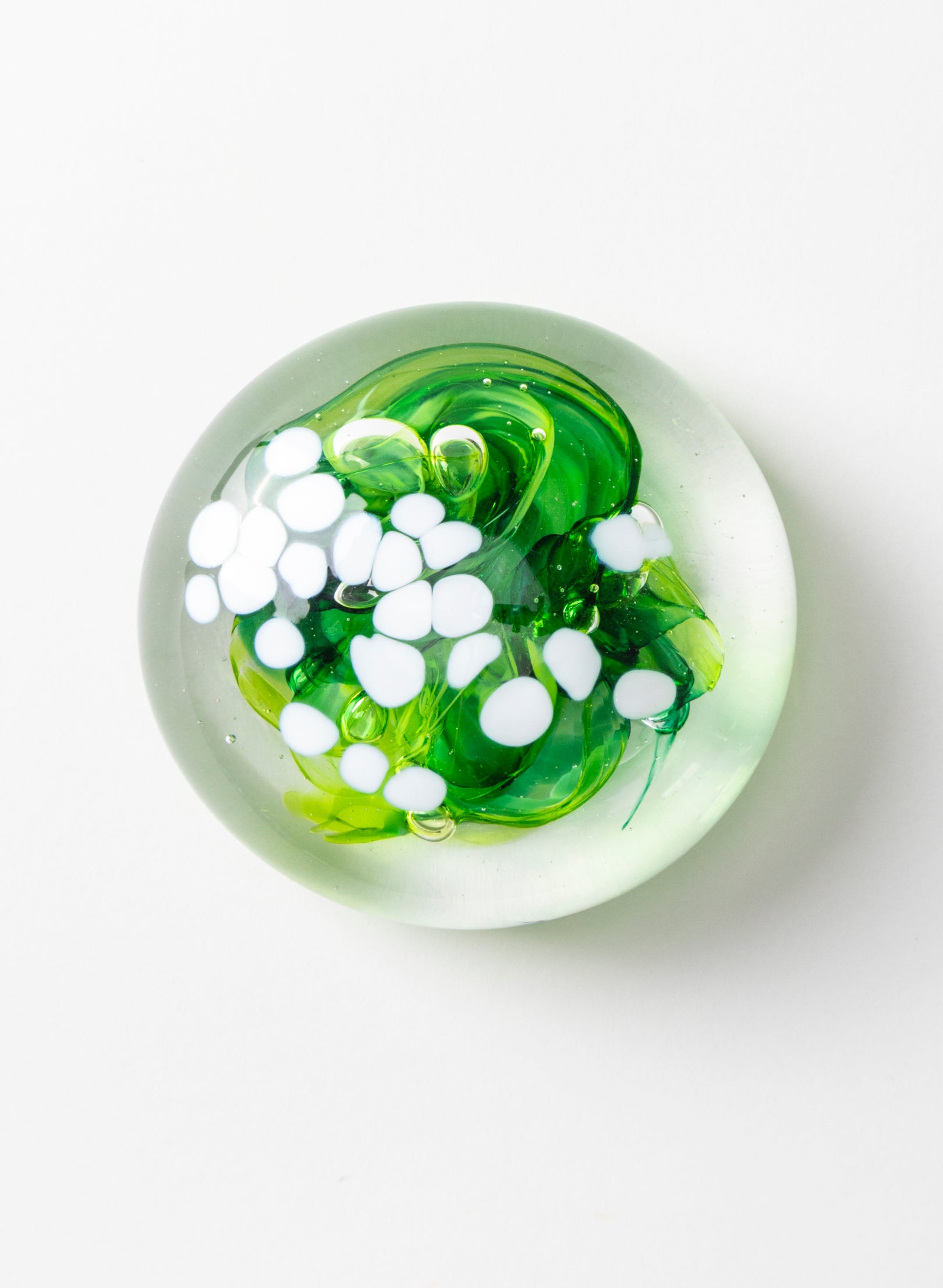 Snow Globes - Paperweight